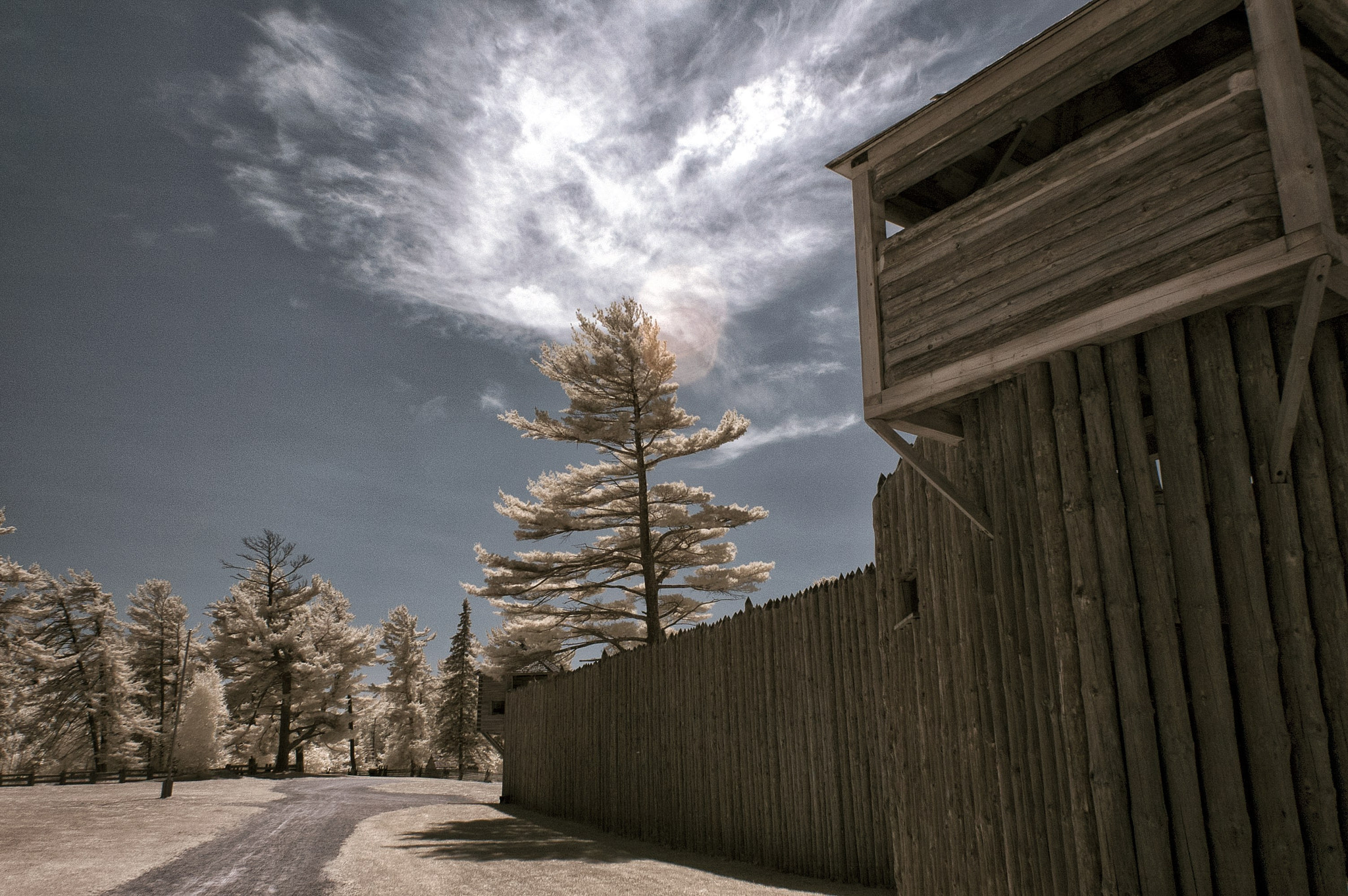 Nikon D70 sample photo. Fort wall ir photography
