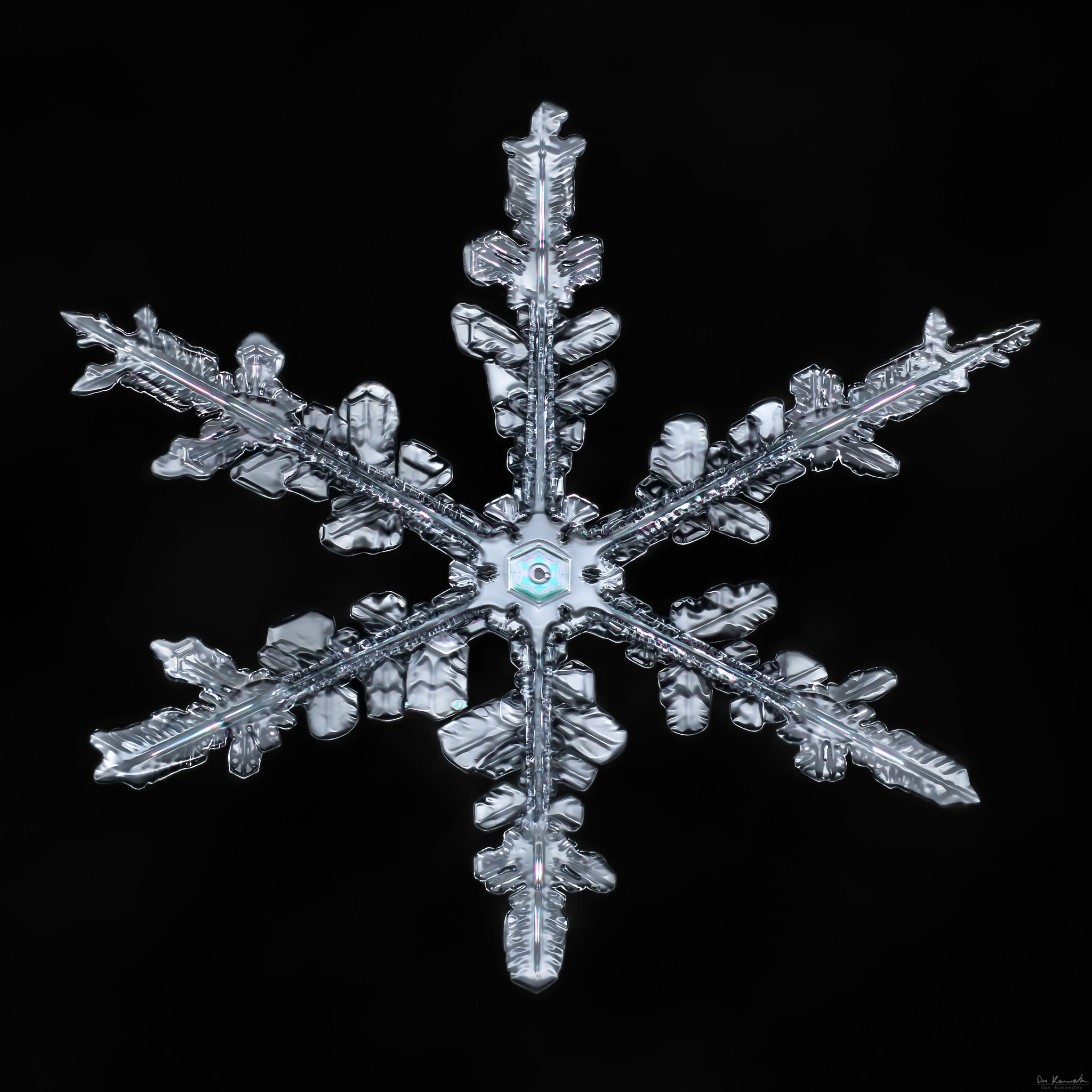 Canon MP-E 65mm F2.5 1-5x Macro Photo sample photo. Snowflake-a-day #67 photography