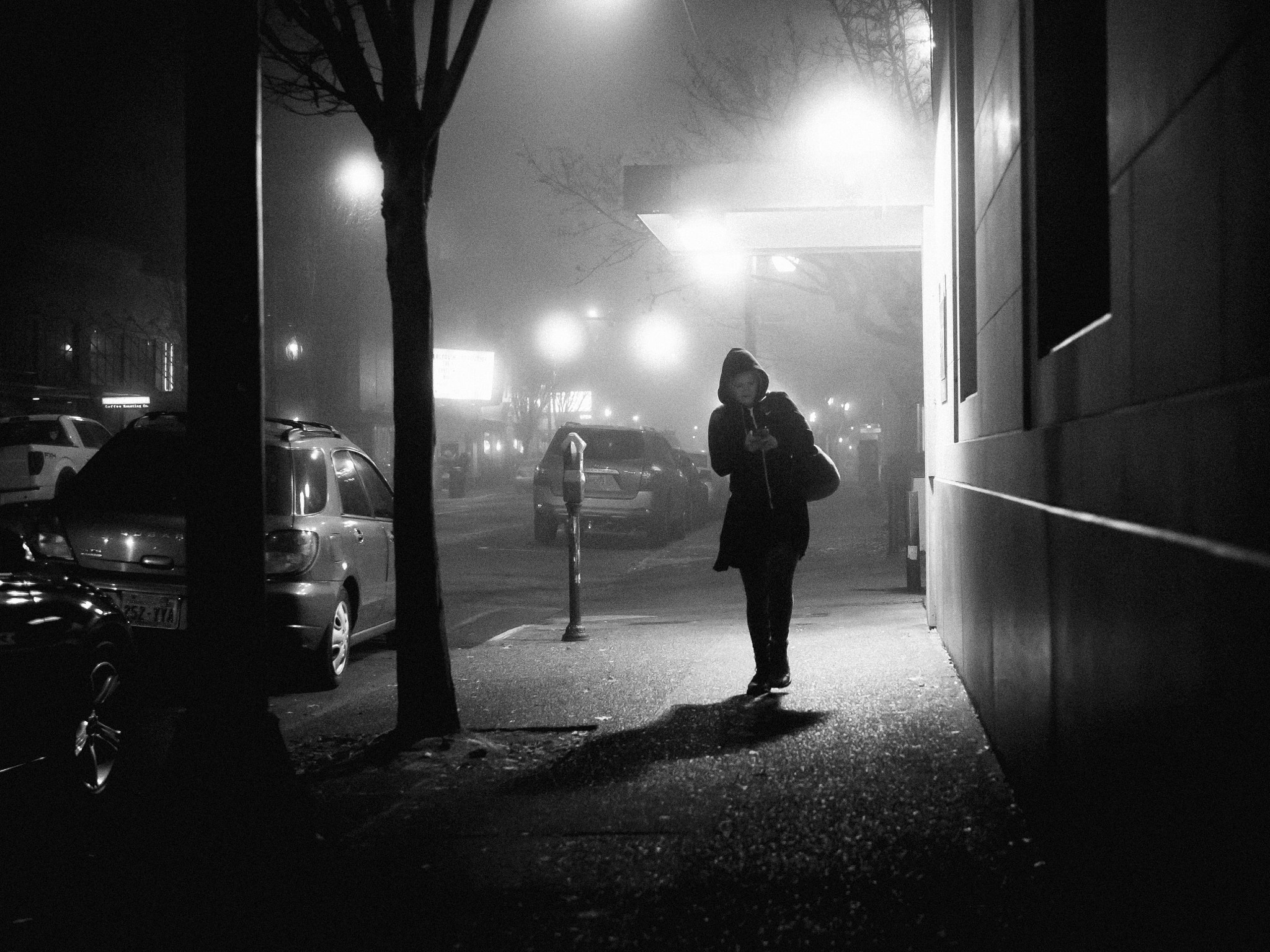 Olympus OM-D E-M1 + Panasonic Leica DG Summilux 25mm F1.4 II ASPH sample photo. Night fog photography