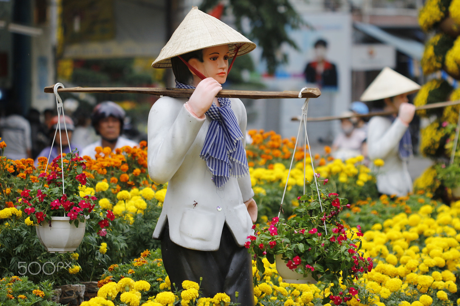 Canon EF 100mm F2.8 Macro USM sample photo. Dance of flowers on tet hoiday photography