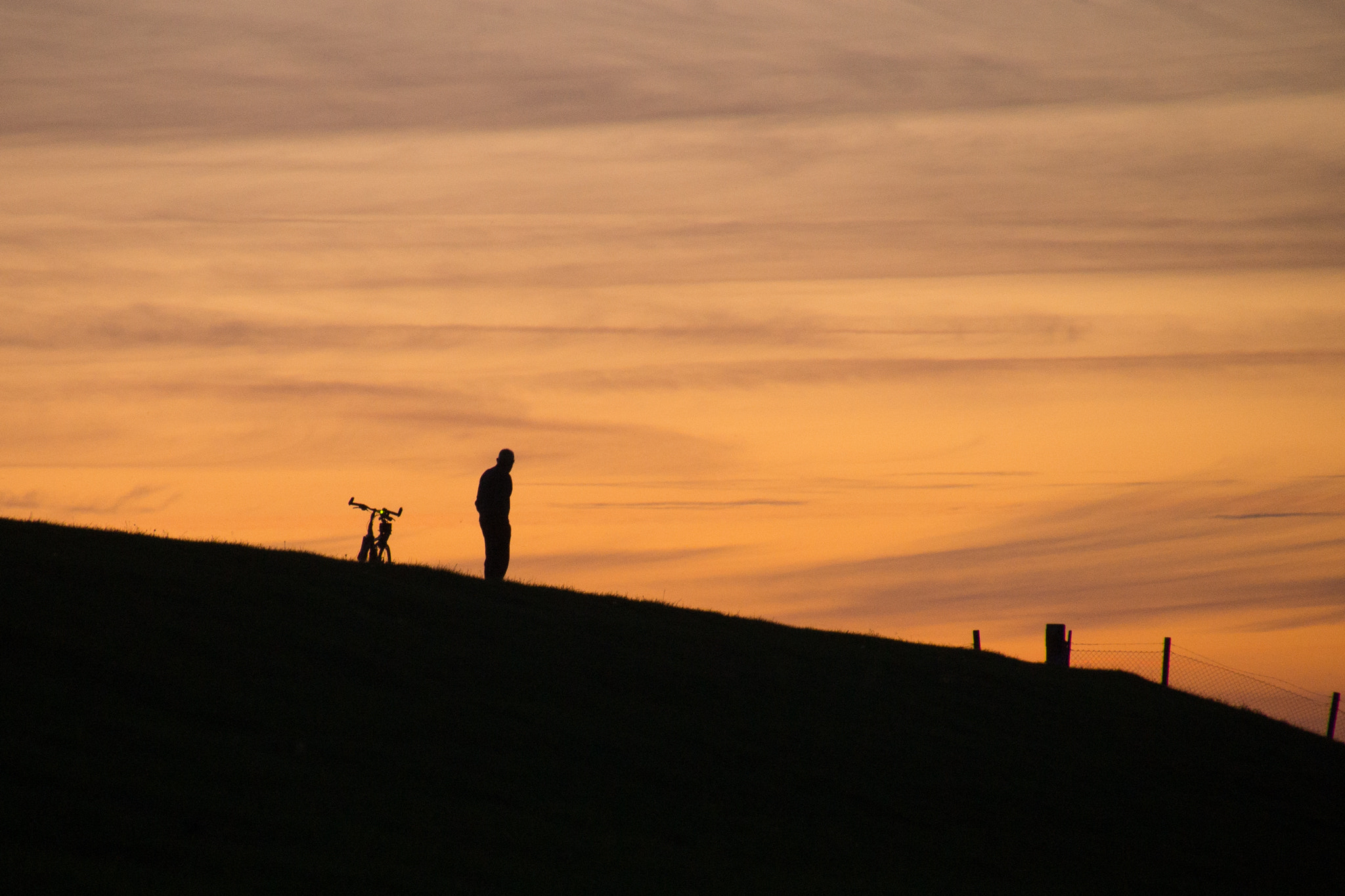 Tamron 16-300mm F3.5-6.3 Di II VC PZD Macro sample photo. Late evening photography