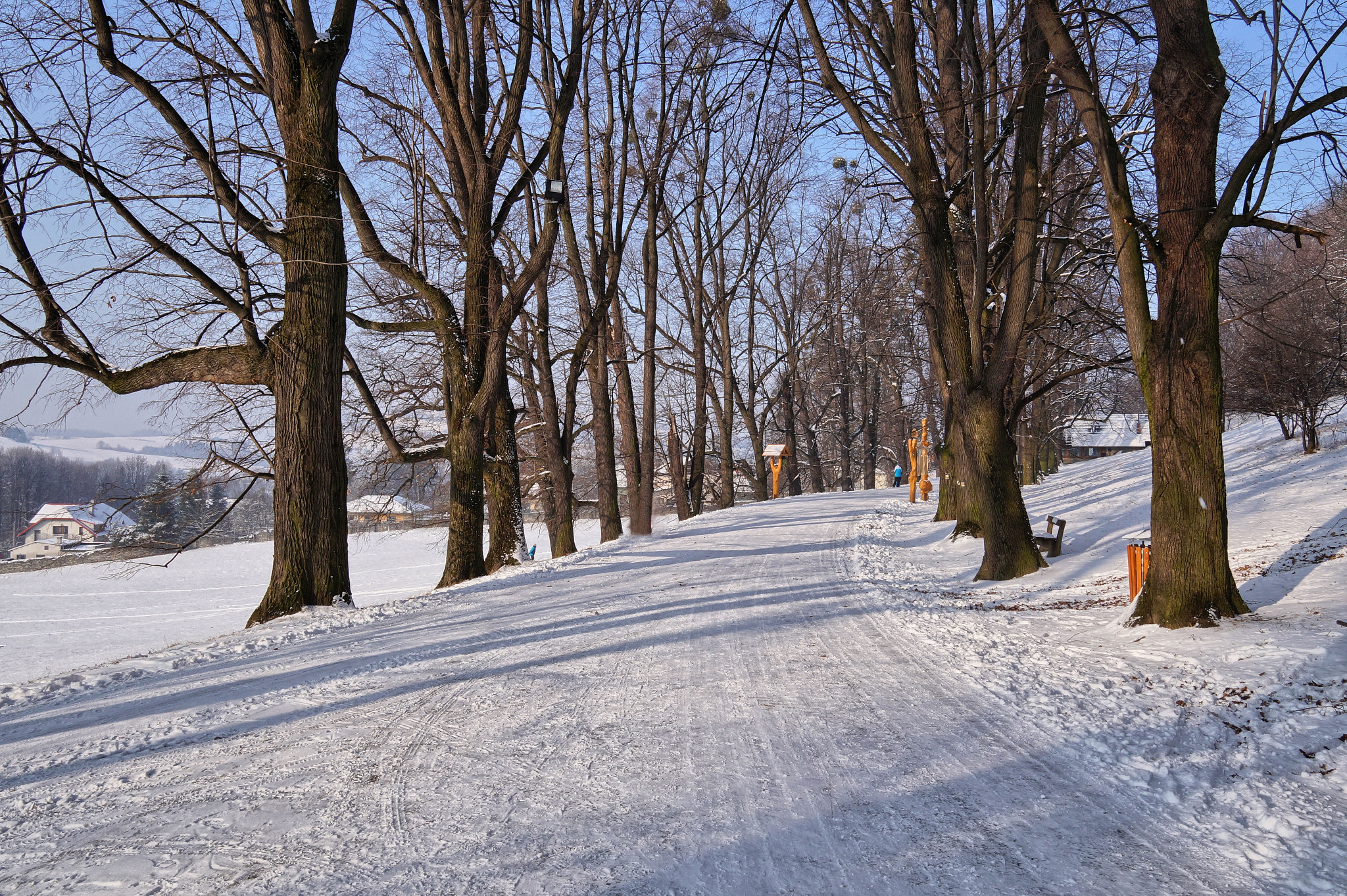 Sony Alpha a3500 + Sigma 19mm F2.8 EX DN sample photo. Alej photography