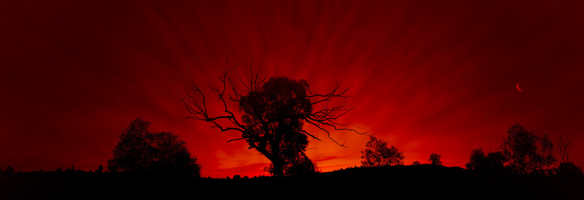 Canon EF 20-35mm f/2.8L sample photo. Blood red sky photography