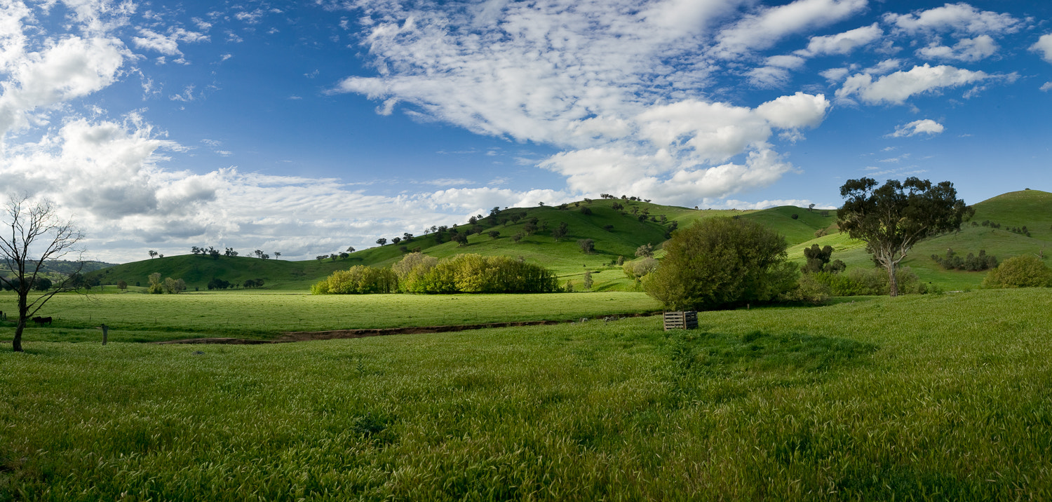 Canon EOS-1Ds + Canon EF 24-70mm F2.8L USM sample photo. Pano photography