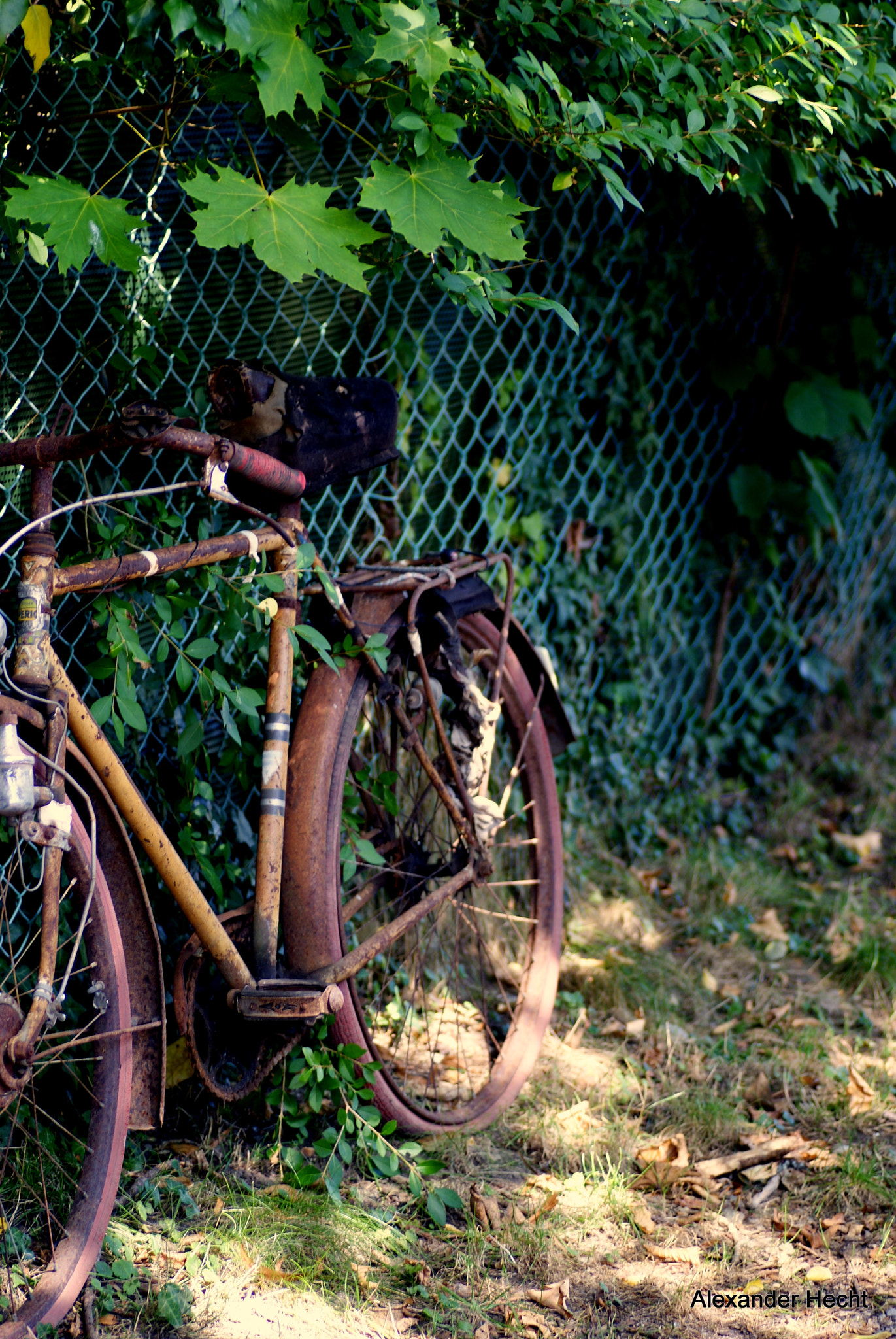 Tamron SP AF 90mm F2.8 Di Macro sample photo. Fahrrad photography
