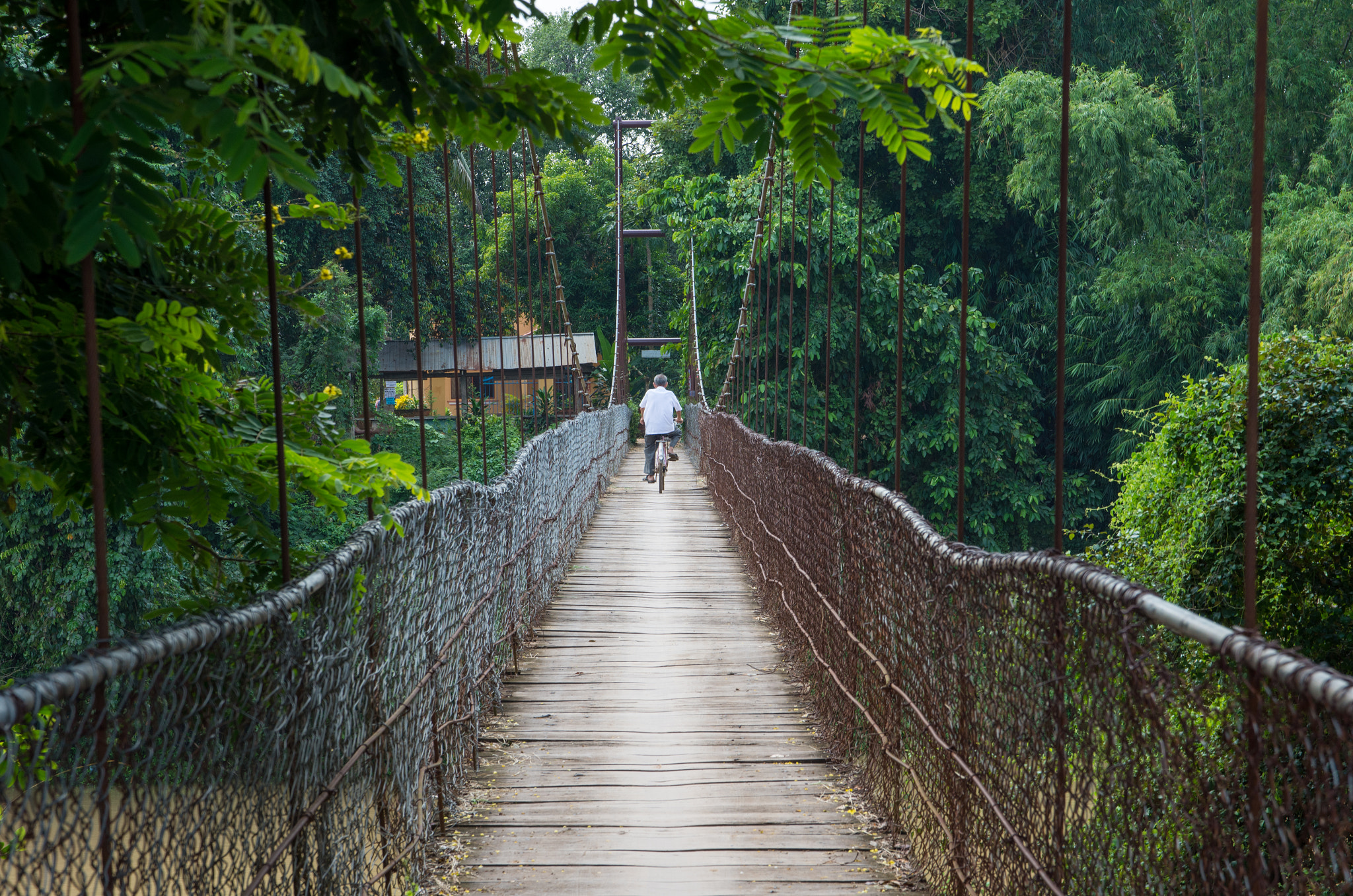 Sigma 17-70mm F2.8-4 DC Macro OS HSM | C sample photo. Man rides his bike over a wooden bridge. photography