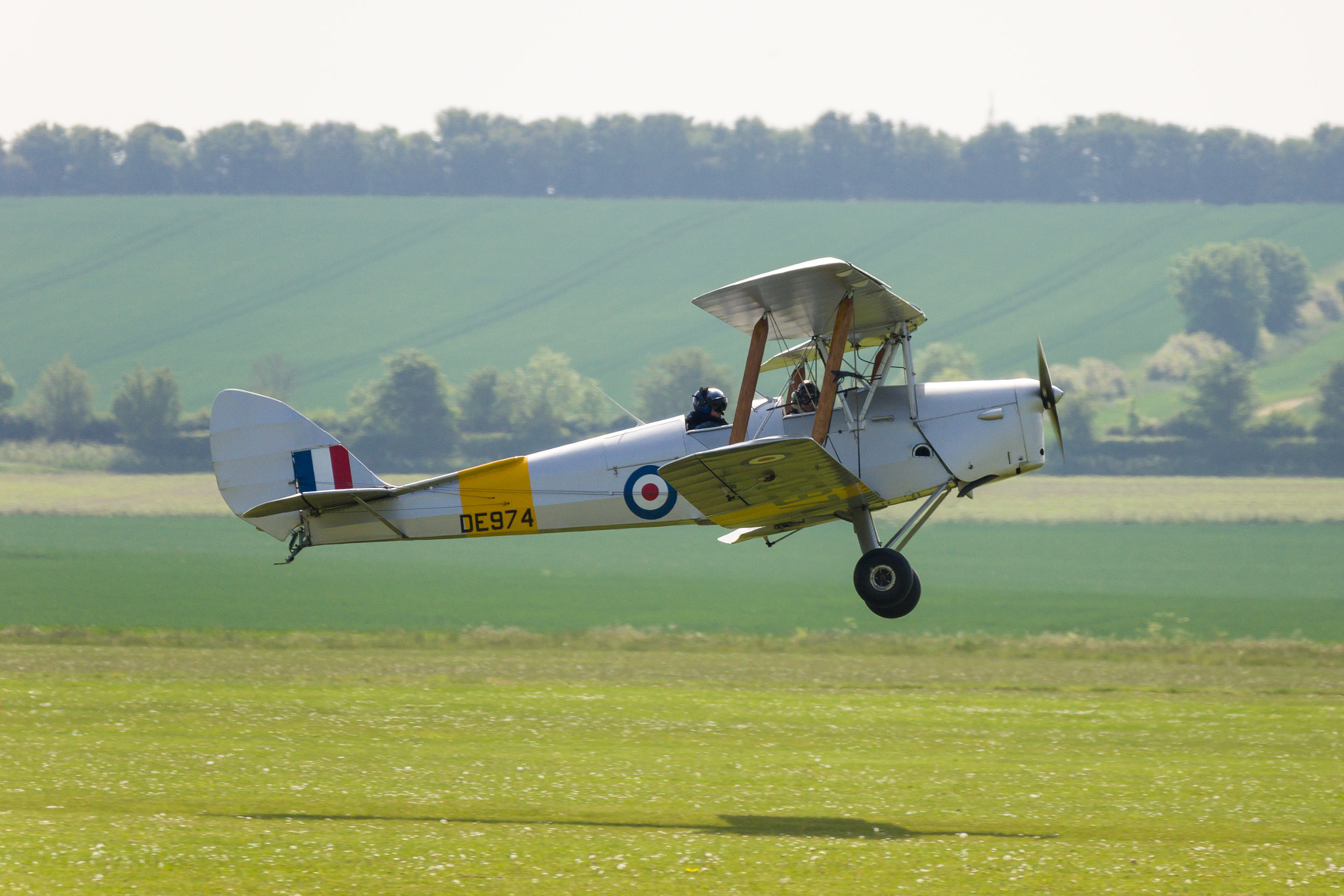 Sony 70-300mm F4.5-5.6 G SSM sample photo. Tiger moth photography