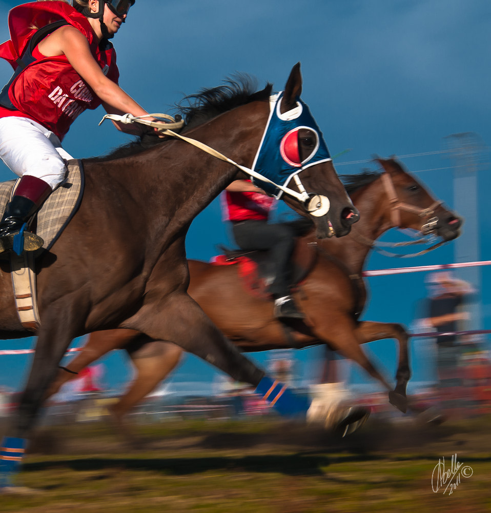Sigma 18-200mm F3.5-6.3 DC OS HSM sample photo. 6093344725.jpg photography
