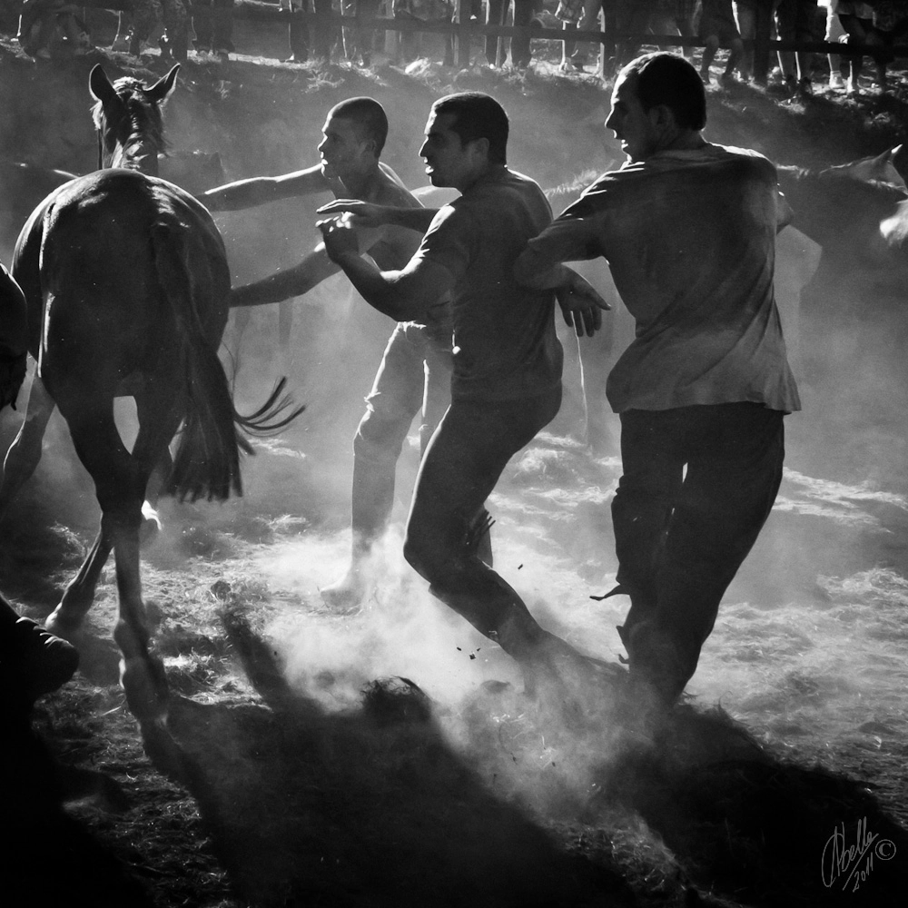 Sigma 18-200mm F3.5-6.3 DC OS HSM sample photo. One horse and three men photography