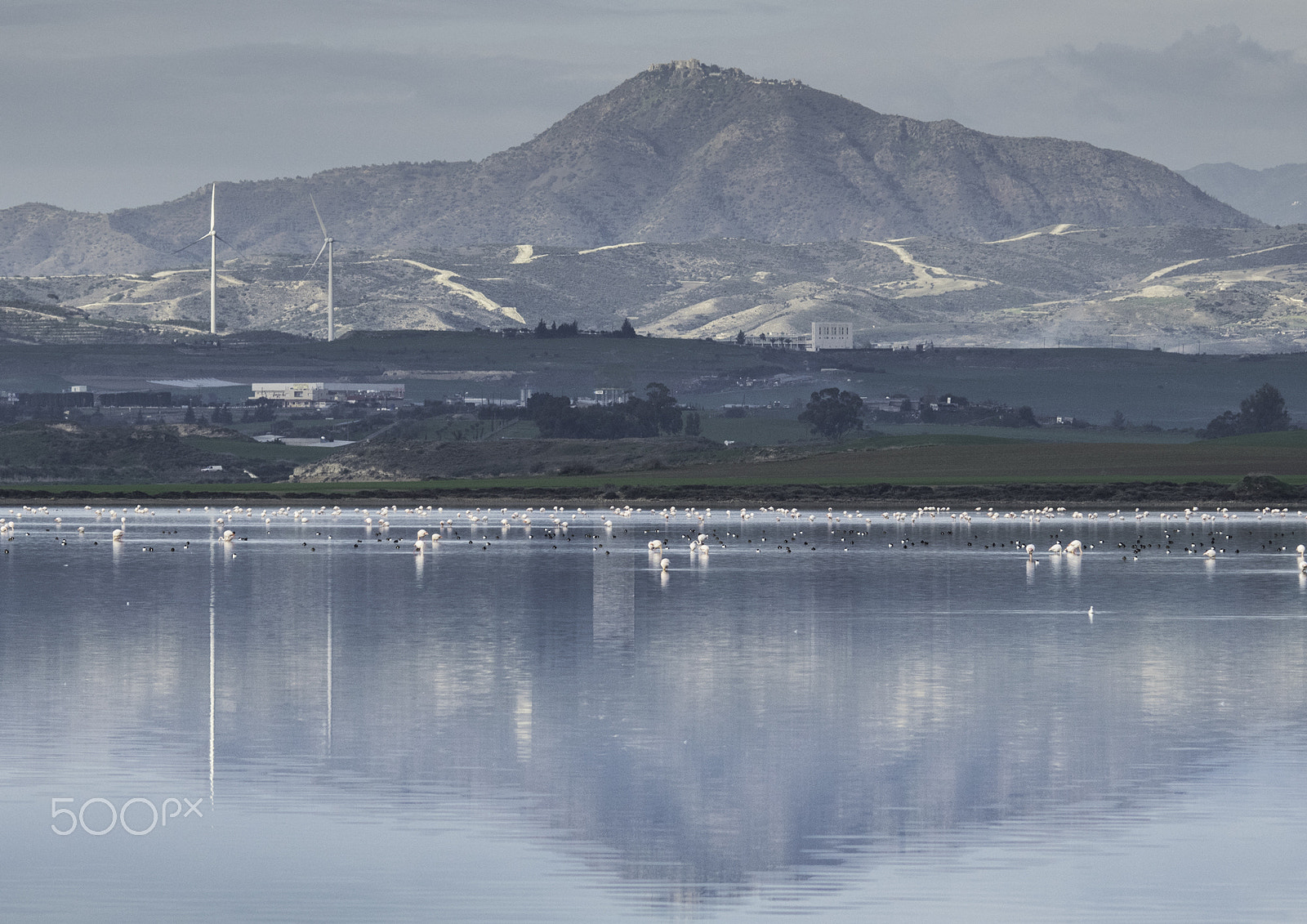 Sigma 150-500mm F5-6.3 DG OS HSM sample photo. Cyprus - salt lake photography