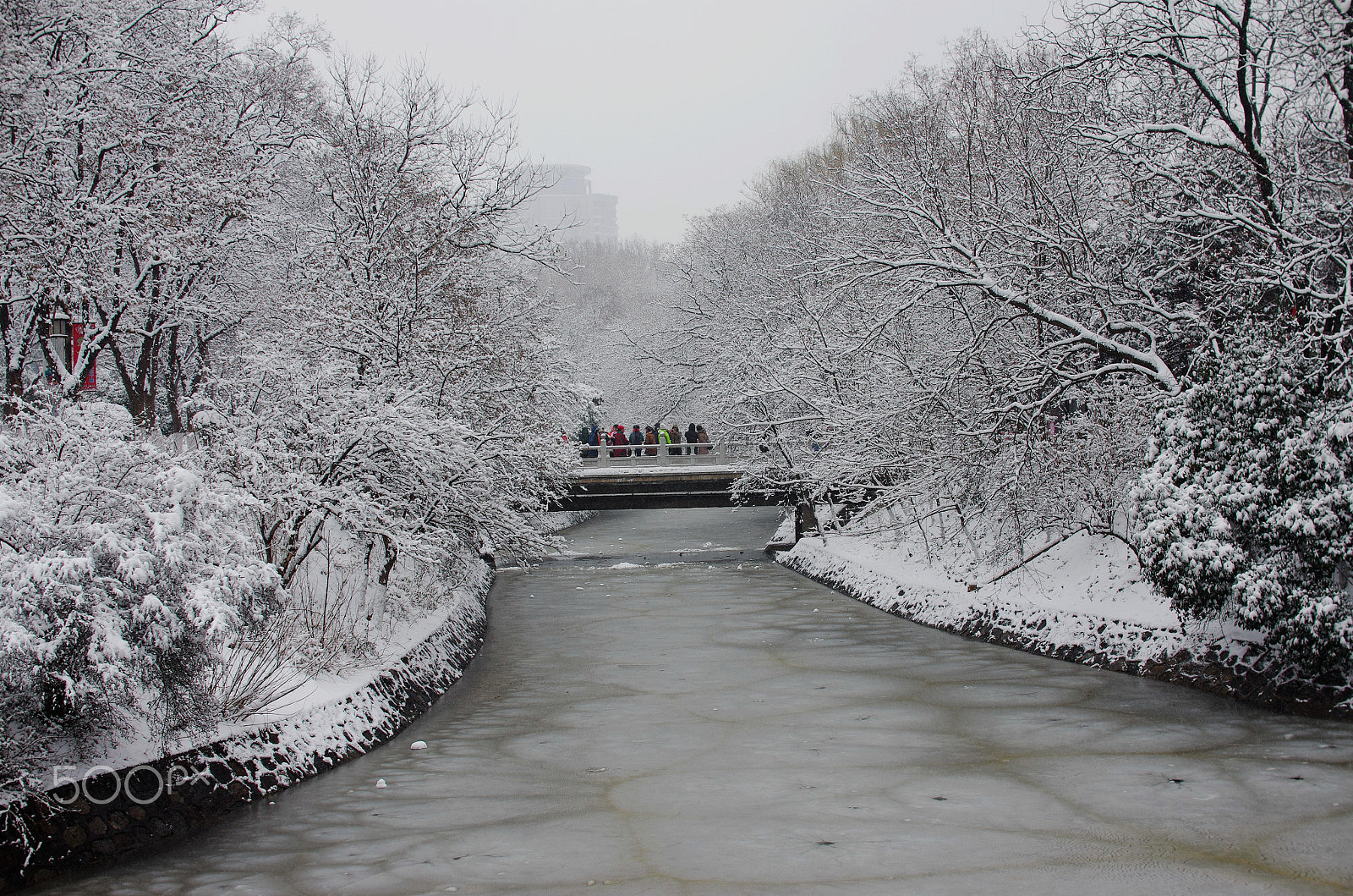 Pentax K-5 IIs + Sigma sample photo. Enjoy the snow photography