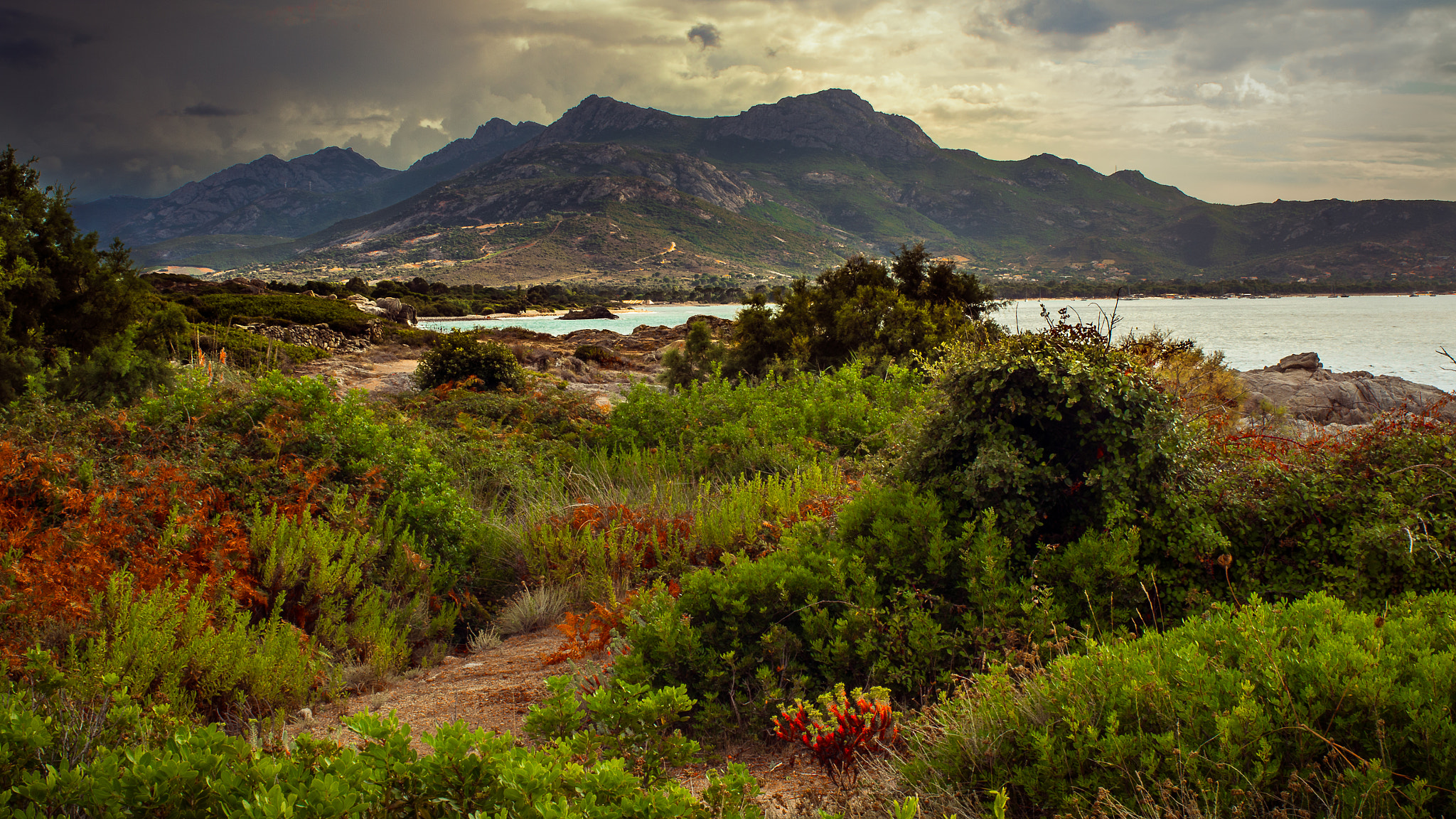 Pentax K-5 + HD Pentax-FA 35mm F2 AL sample photo. Corsica-calvi photography