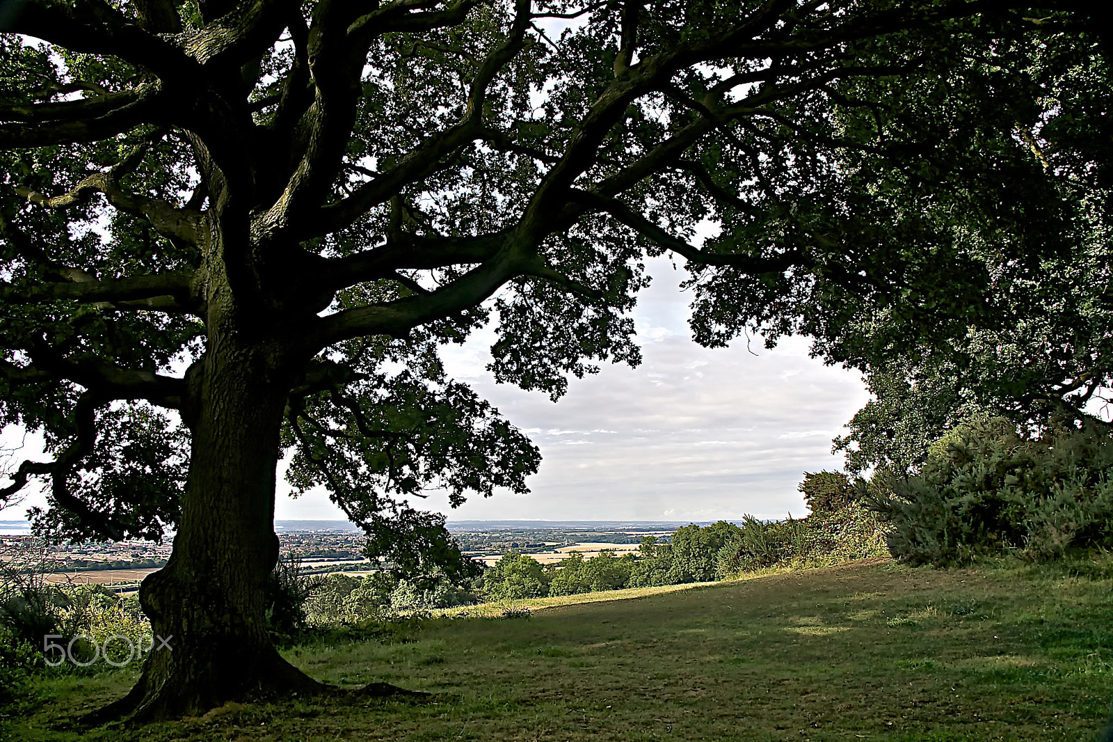 Sony DT 18-250mm F3.5-6.3 sample photo. Ab196 thames valley views photography