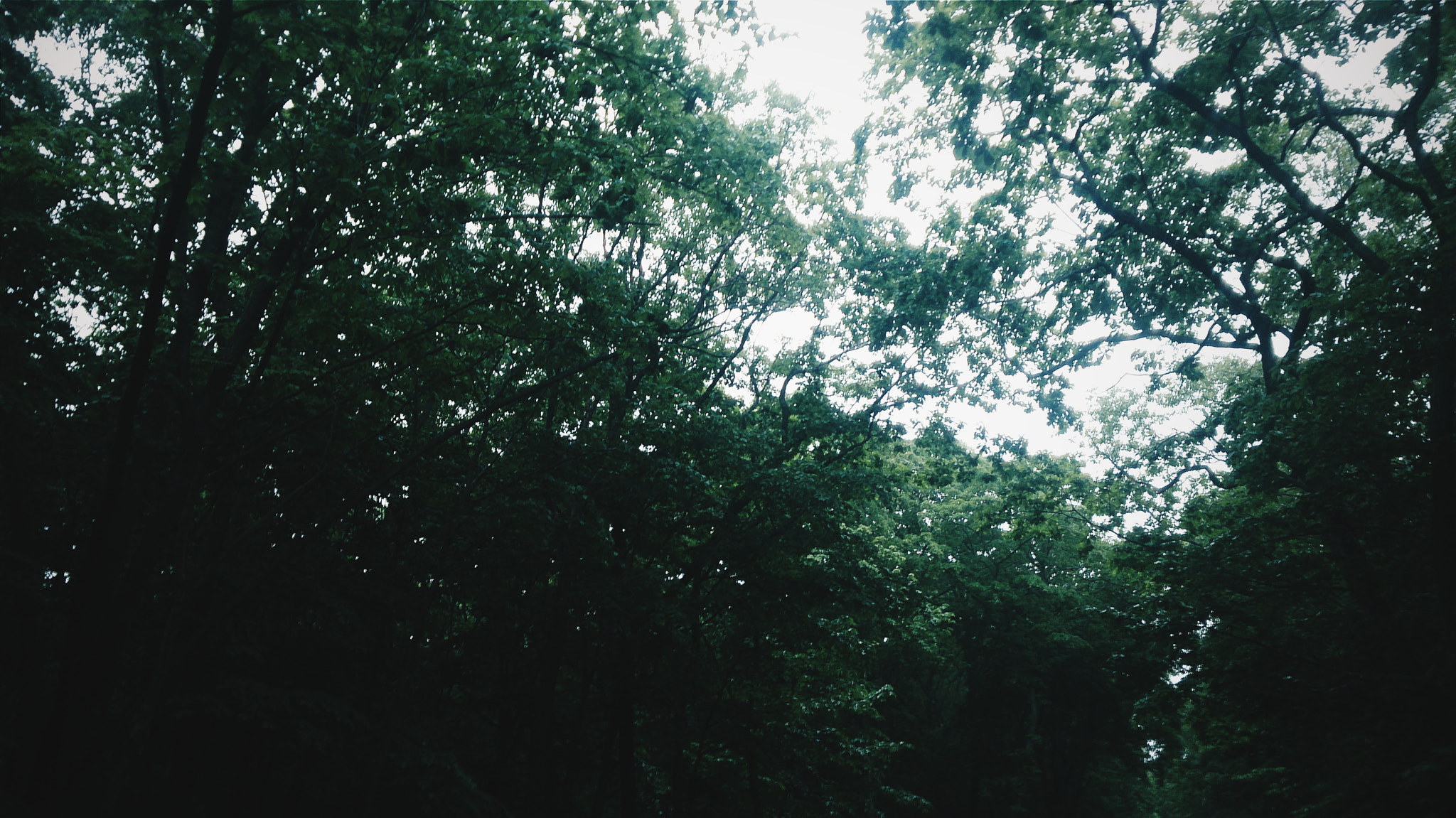 Sony Xperia ZR sample photo. Frstfrsh photography