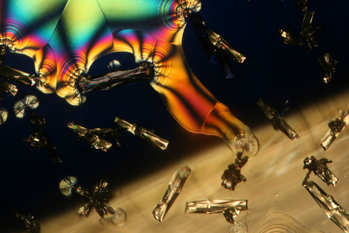 Canon MP-E 65mm F2.5 1-5x Macro Photo sample photo. Vitamin c crystals photography