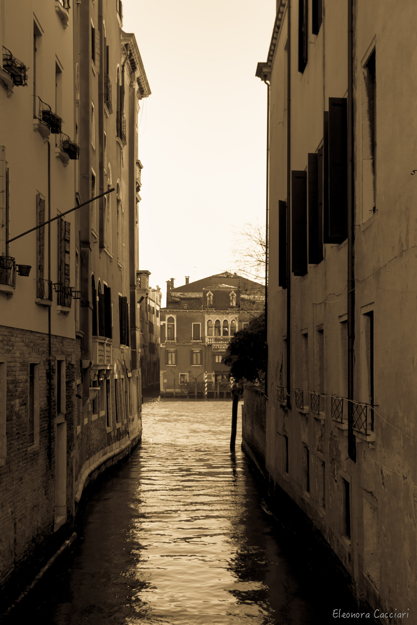 Canon EF-S 18-135mm F3.5-5.6 IS STM sample photo. Discovering venice 2016 photography