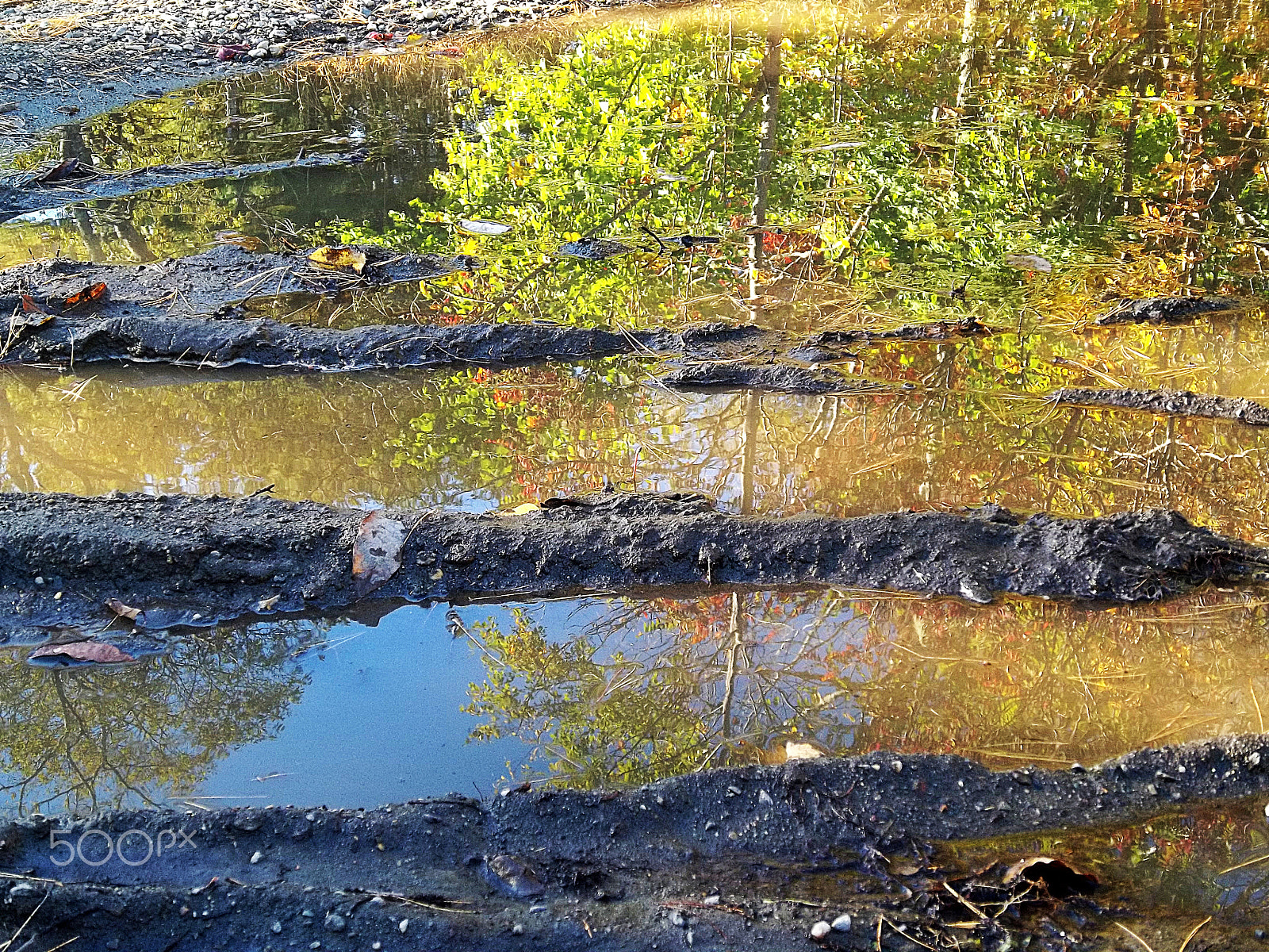 Kodak EASYSHARE M575 DIGITAL CAMERA sample photo. Mud puddle reflections photography