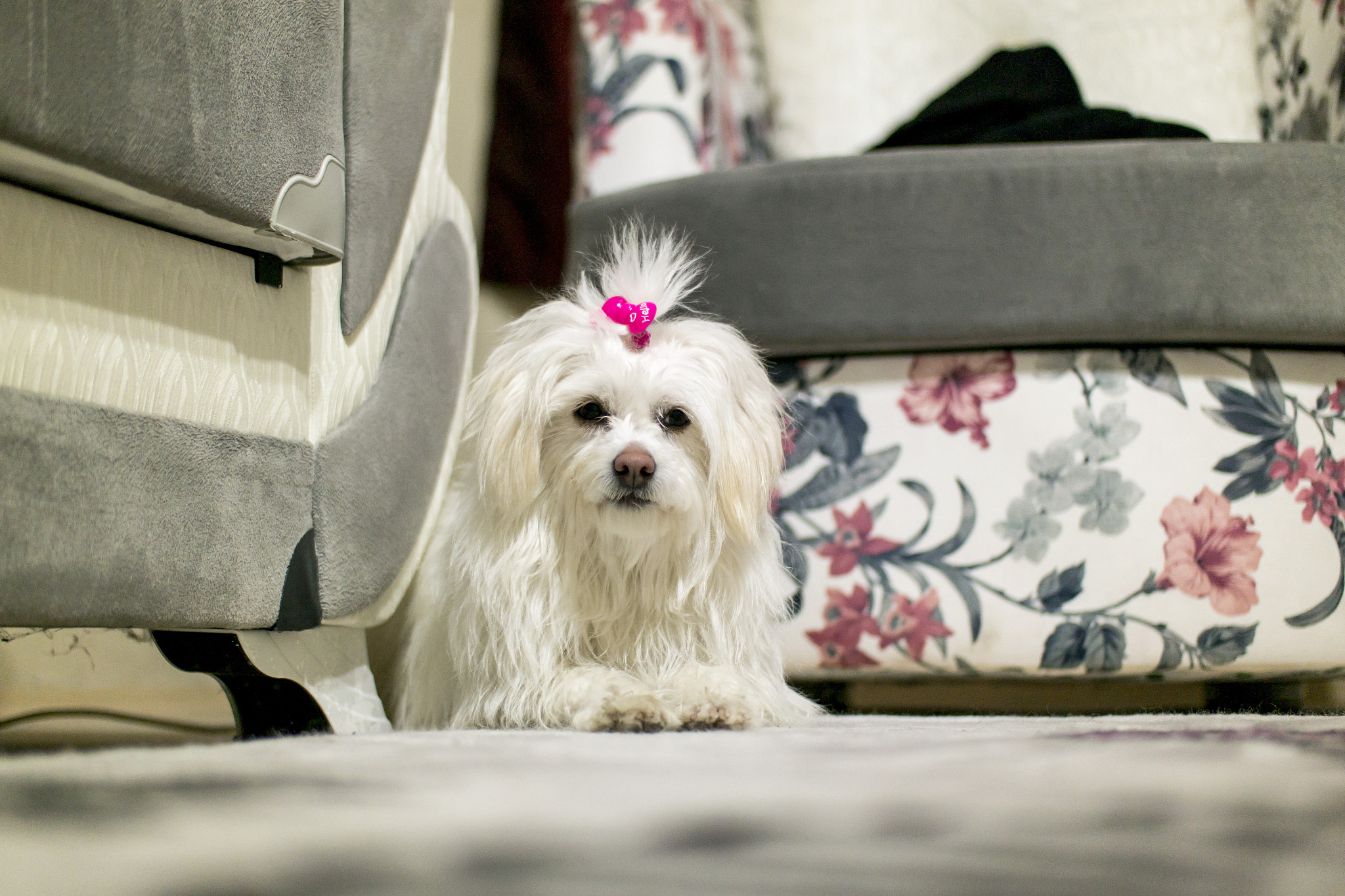 Samsung NX30 + Samsung NX 45mm F1.8 sample photo. Lucy photography