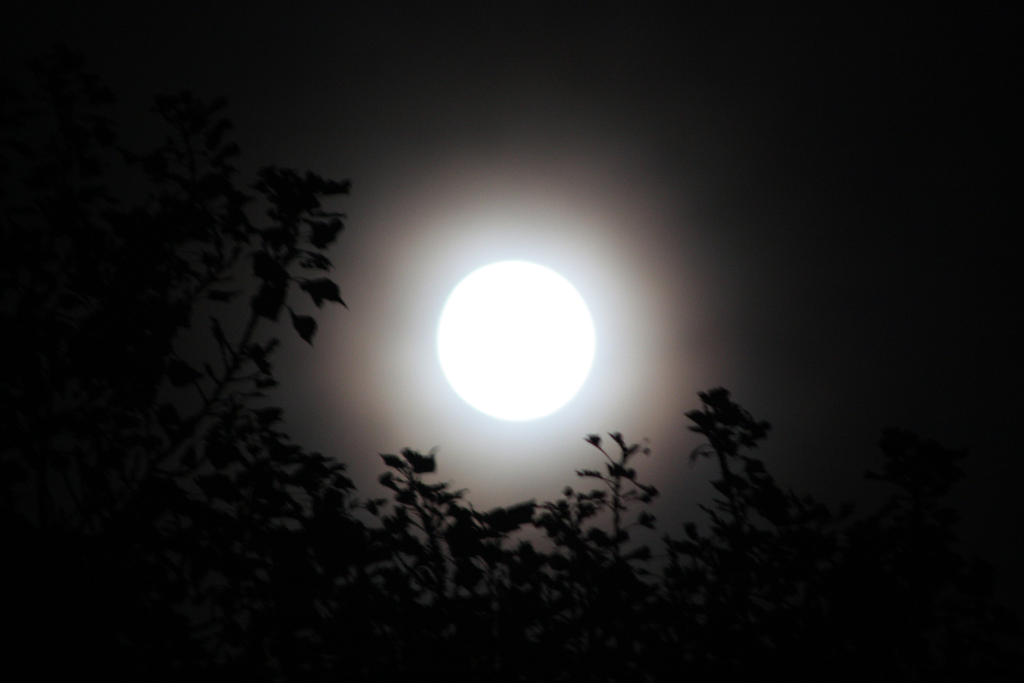 Canon EF 90-300mm F4.5-5.6 sample photo. La lune photography