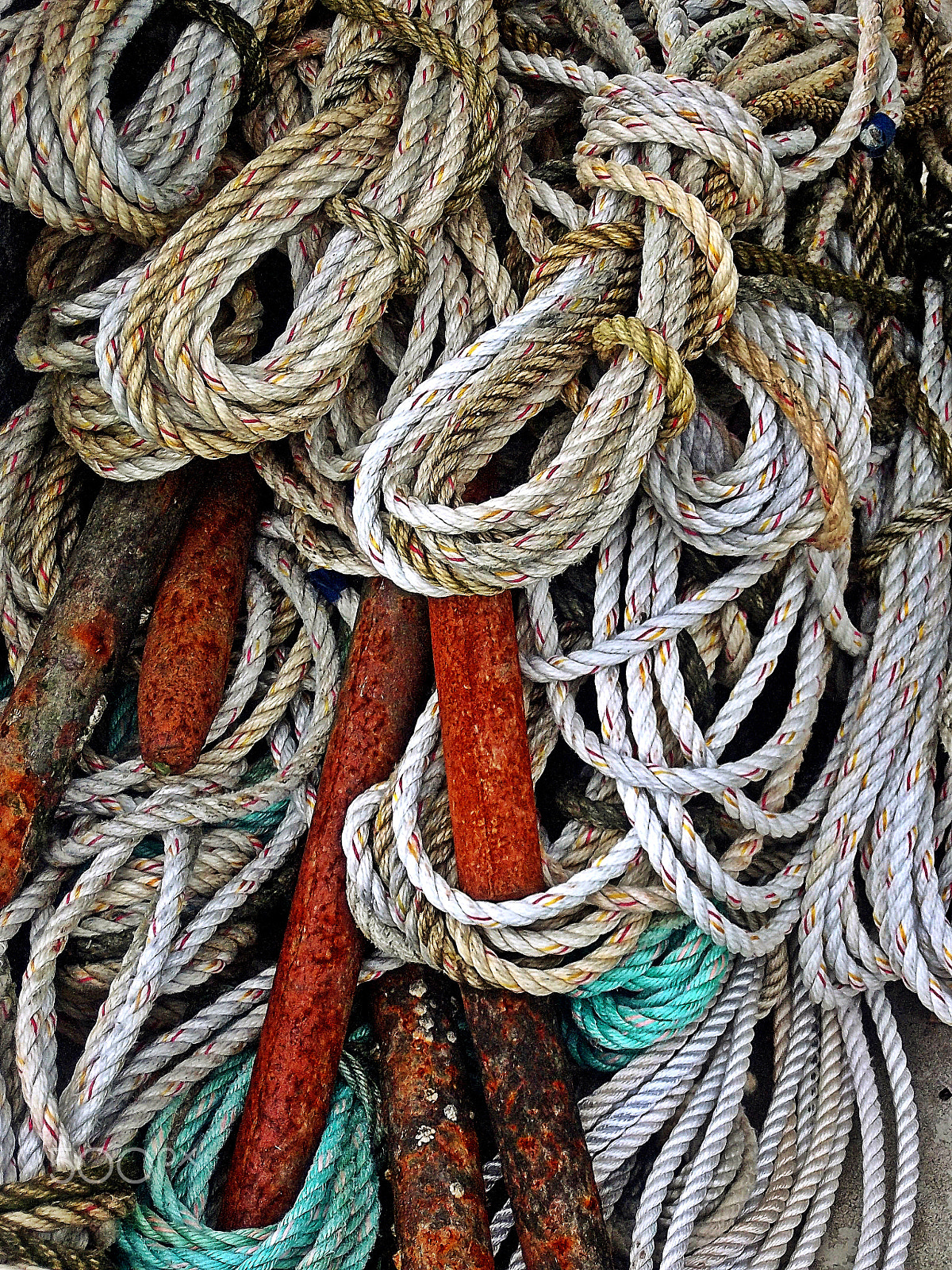 Kodak EASYSHARE M575 DIGITAL CAMERA sample photo. Fisherman's rope photography