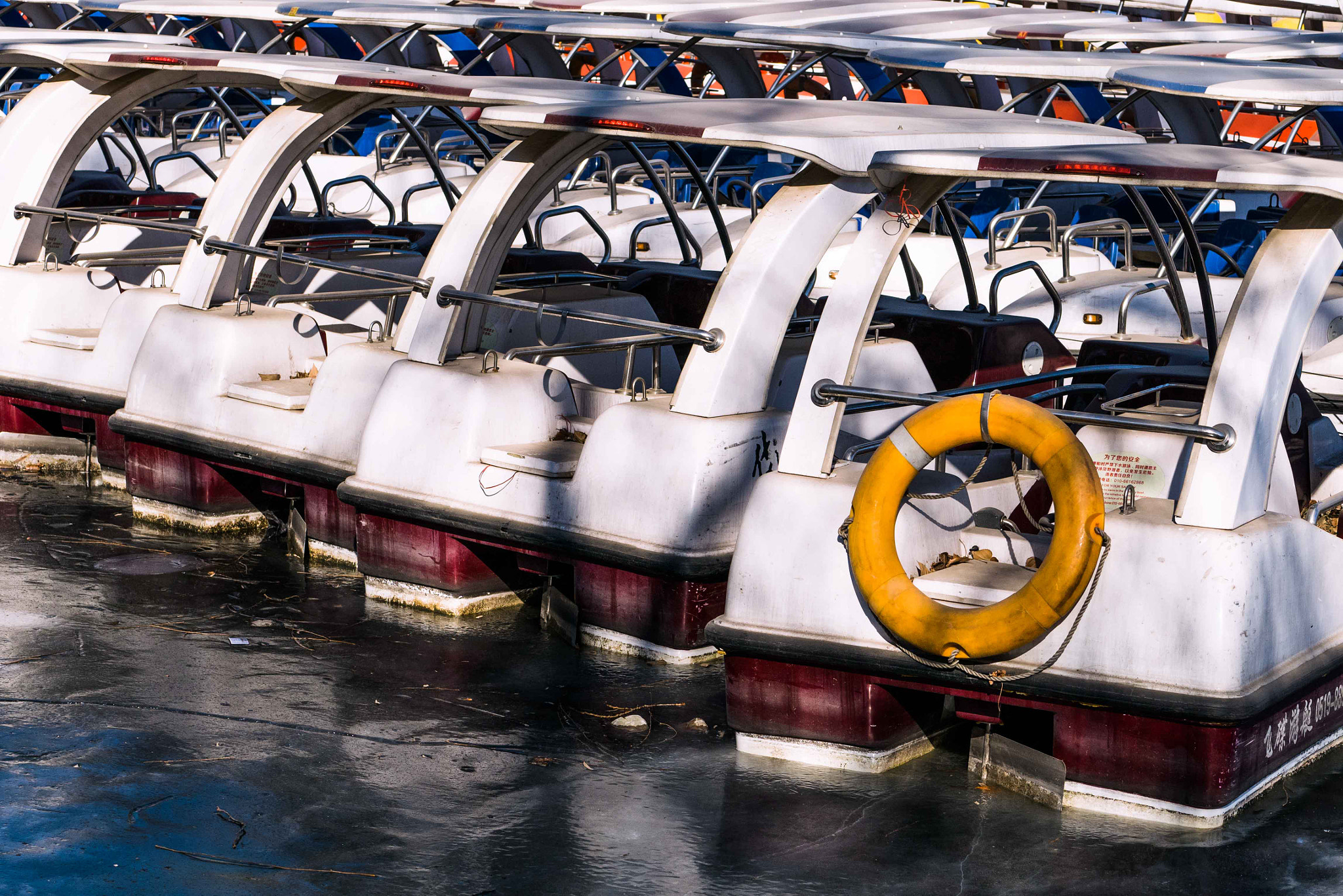 Panasonic DMC-GM1S sample photo. Hey you！do u got ur buoy？ photography
