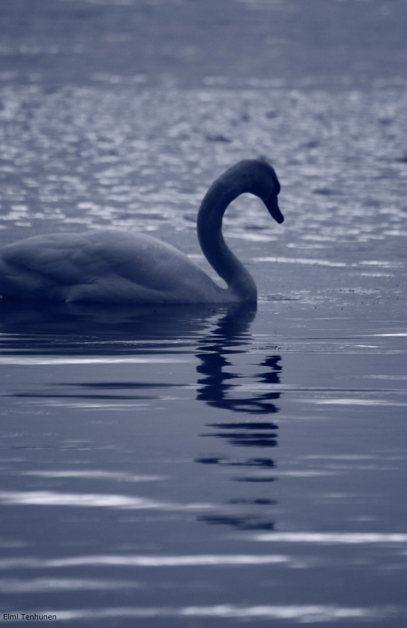 Canon EF-S 55-250mm F4-5.6 IS sample photo. Winter sorrow photography