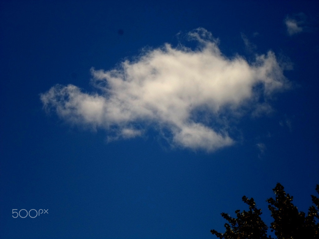 Samsung ST77 / ST79 sample photo. небо photography