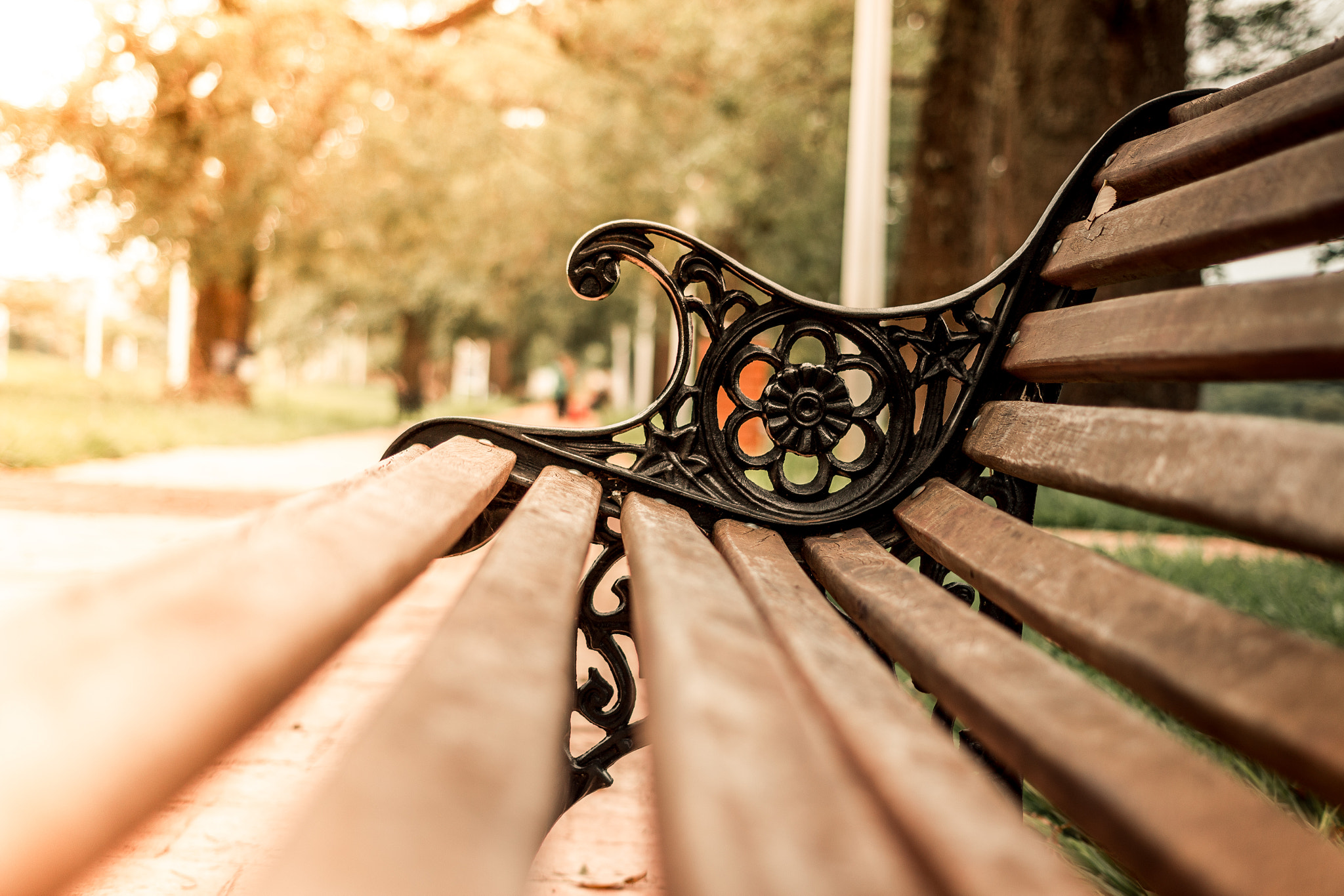 Canon EF 40mm F2.8 STM sample photo. Park bench photography