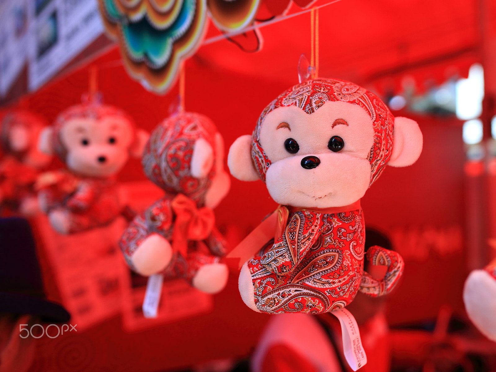 Sigma 35mm F1.4 DG HSM Art sample photo. Flower market photography