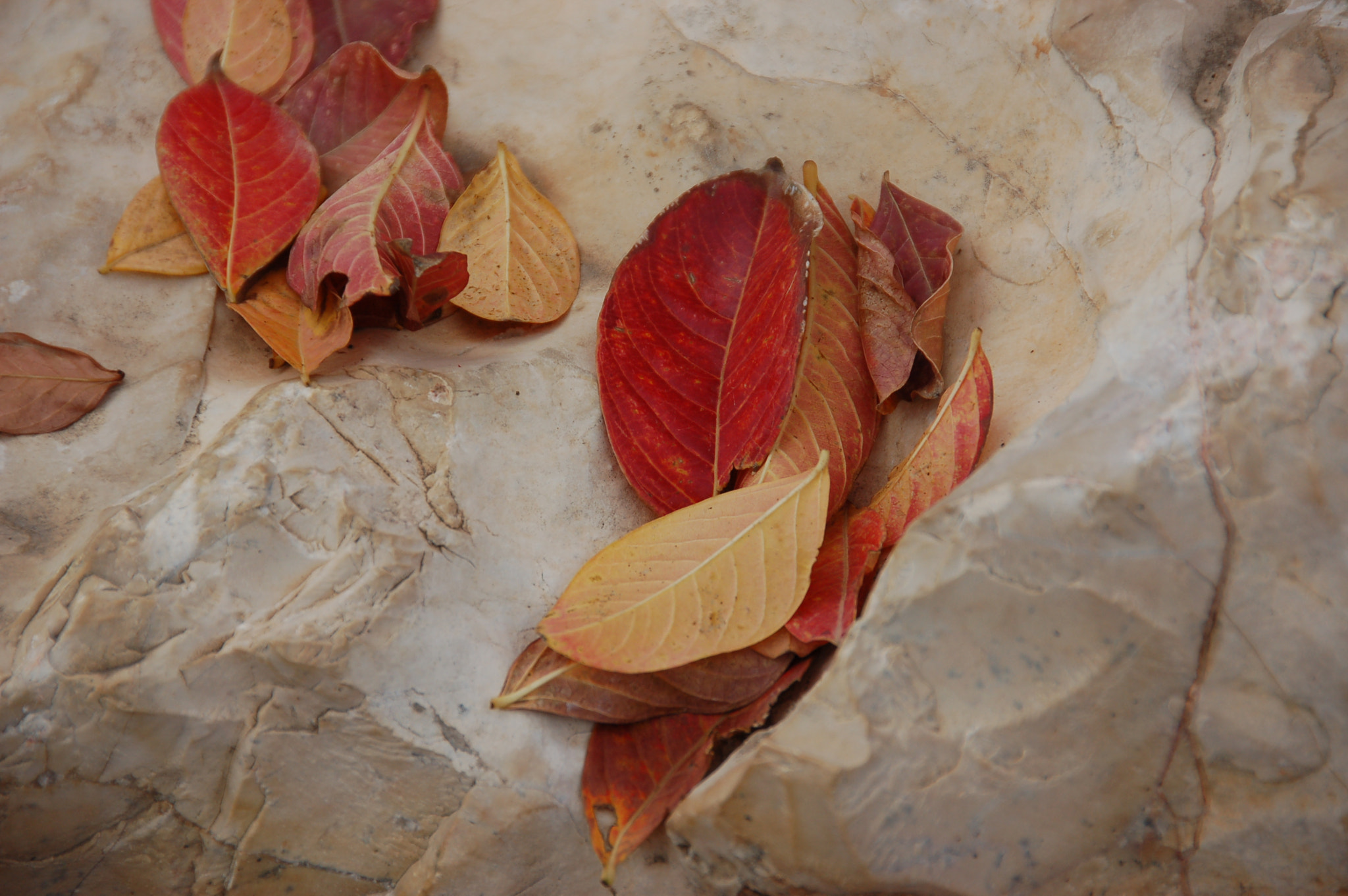 Nikon D50 sample photo. Stones photography