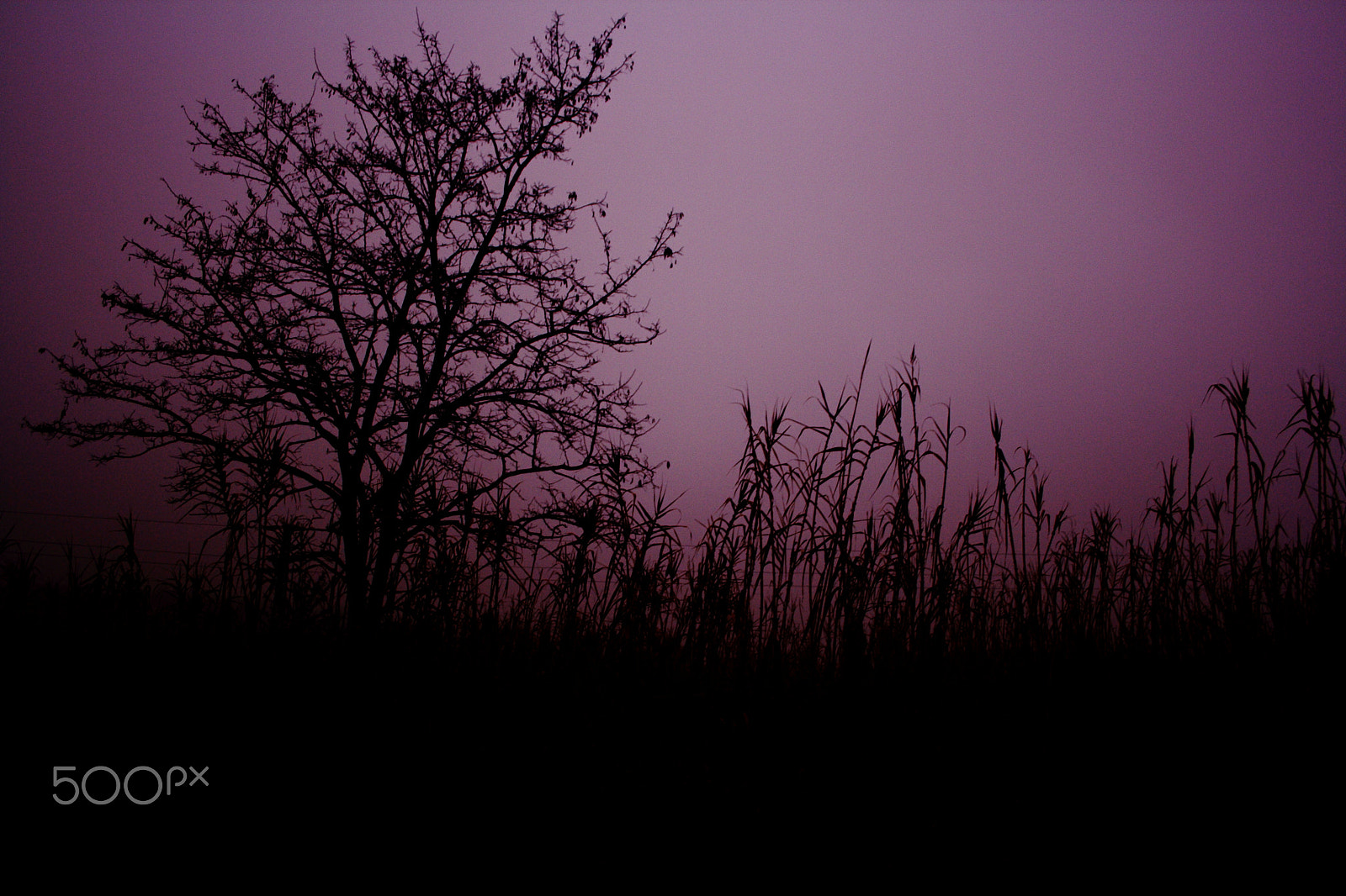 Canon EF-S 18-55mm F3.5-5.6 sample photo. A creepy sunset photography