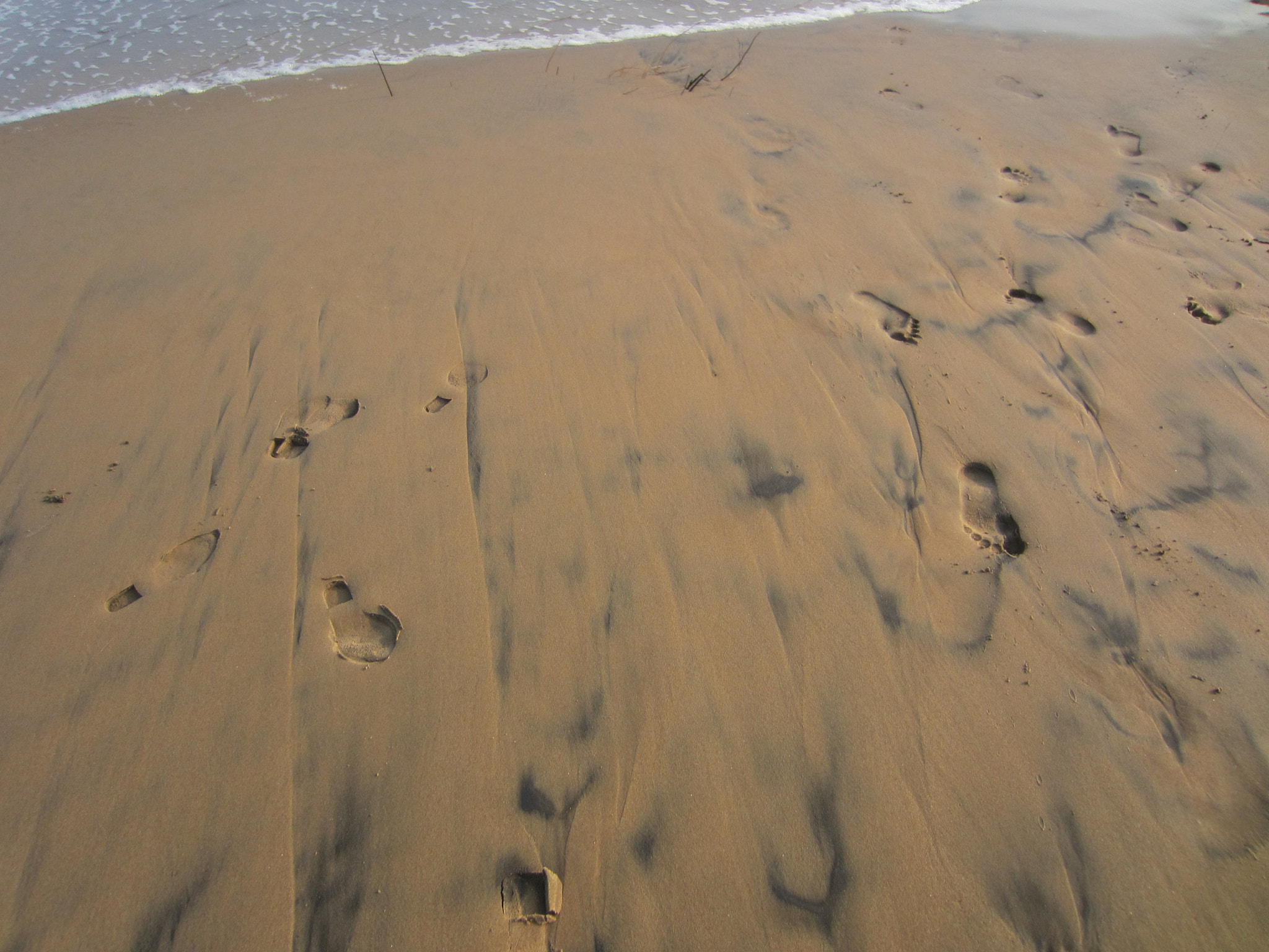 Canon PowerShot ELPH 300 HS (IXUS 220 HS / IXY 410F) sample photo. Footprint photography