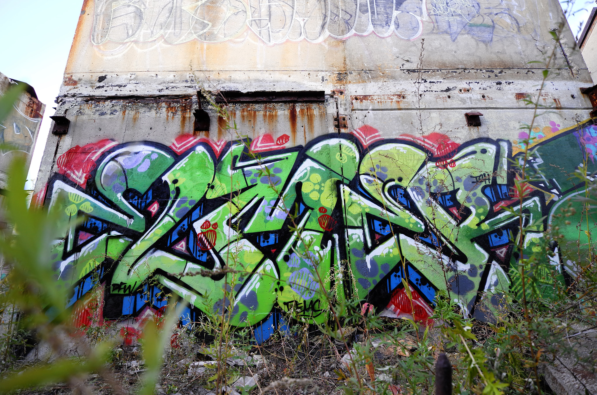 Leica T (Typ 701) sample photo. Elmer photography