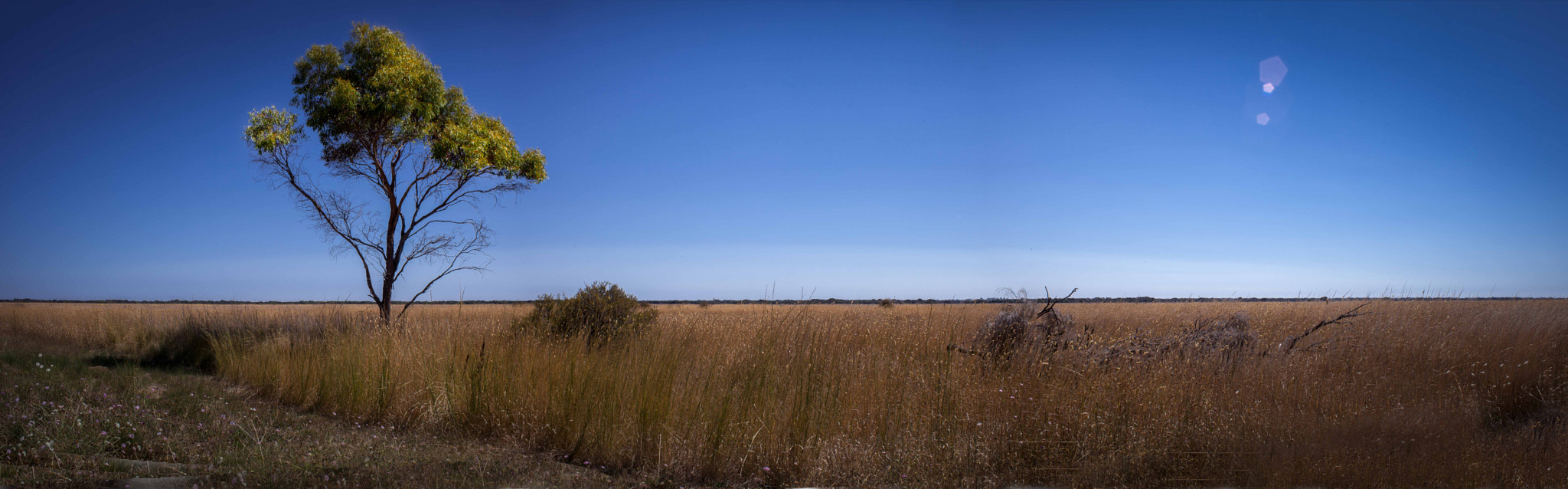 Canon EF 28-90mm f/4-5.6 sample photo. Country so wide photography