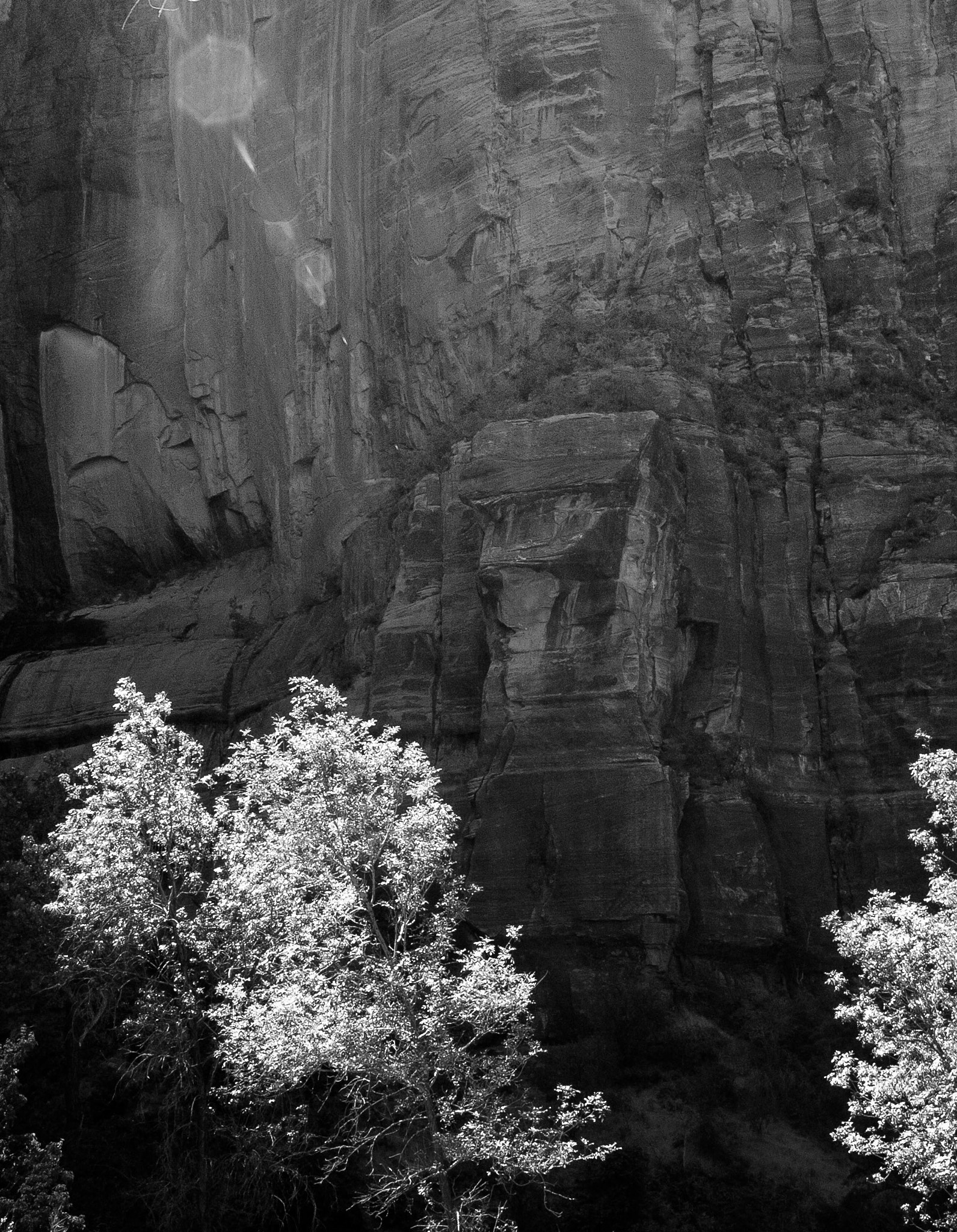 Nikon D70 sample photo. Rock [face it] photography