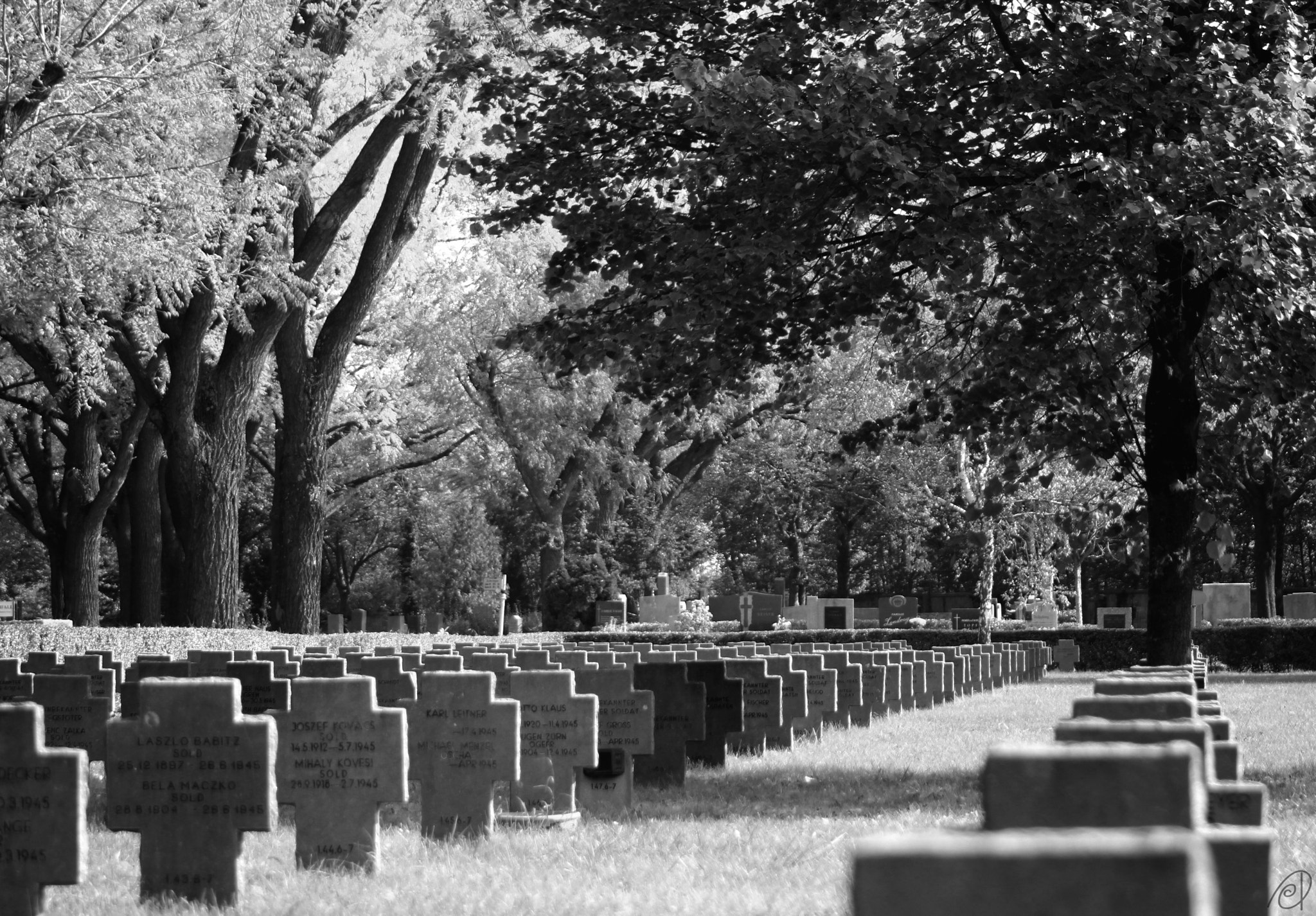 Canon EF 80-200mm F4.5-5.6 II sample photo. Am zentralfriedhof, wien photography