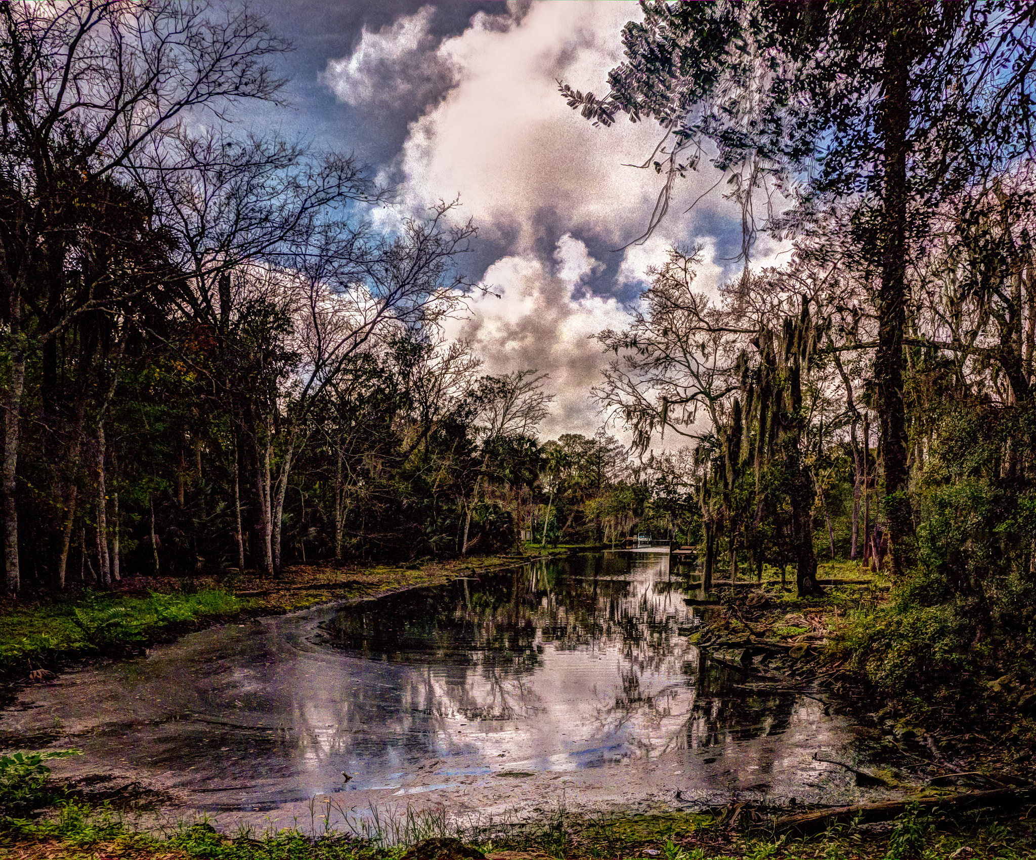 Panasonic Lumix DMC-GX7 + Panasonic Lumix G Vario 7-14mm F4 ASPH sample photo. Florida swamp photography