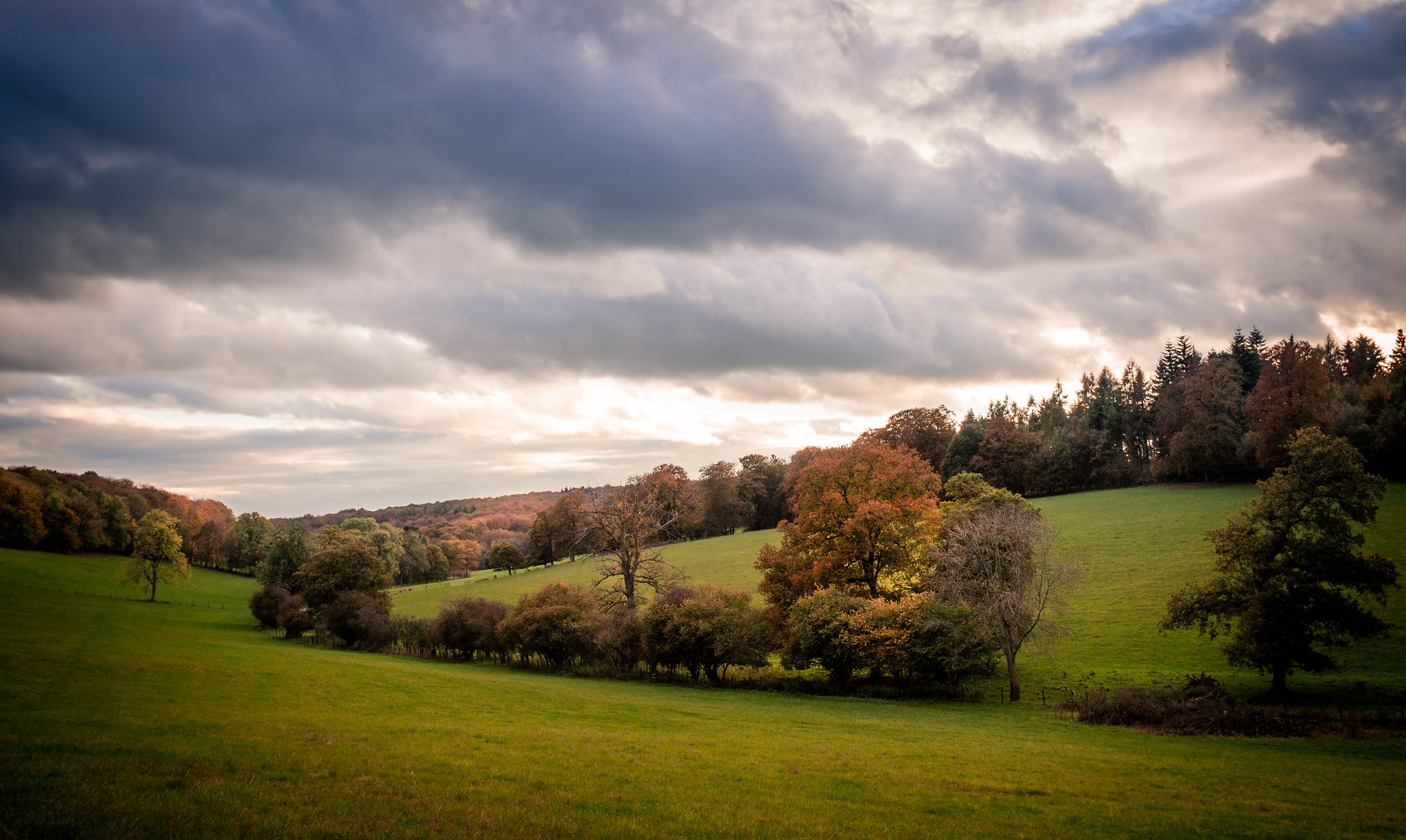 Canon EOS 700D (EOS Rebel T5i / EOS Kiss X7i) + Canon EF 20mm F2.8 USM sample photo. Nettlebed countryside - 1 photography