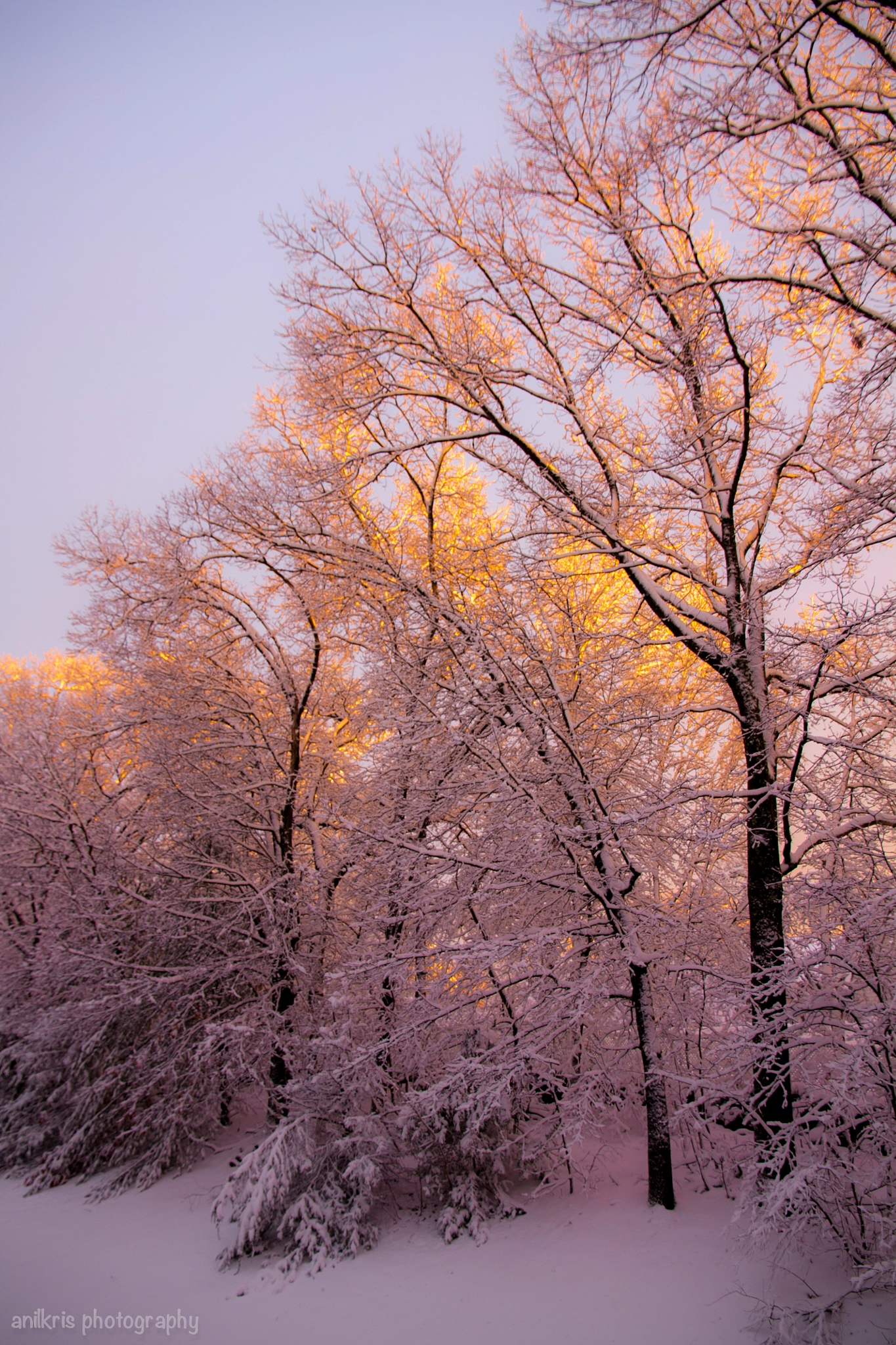 Canon EOS 450D (EOS Rebel XSi / EOS Kiss X2) sample photo. Backlighted snow storm photography