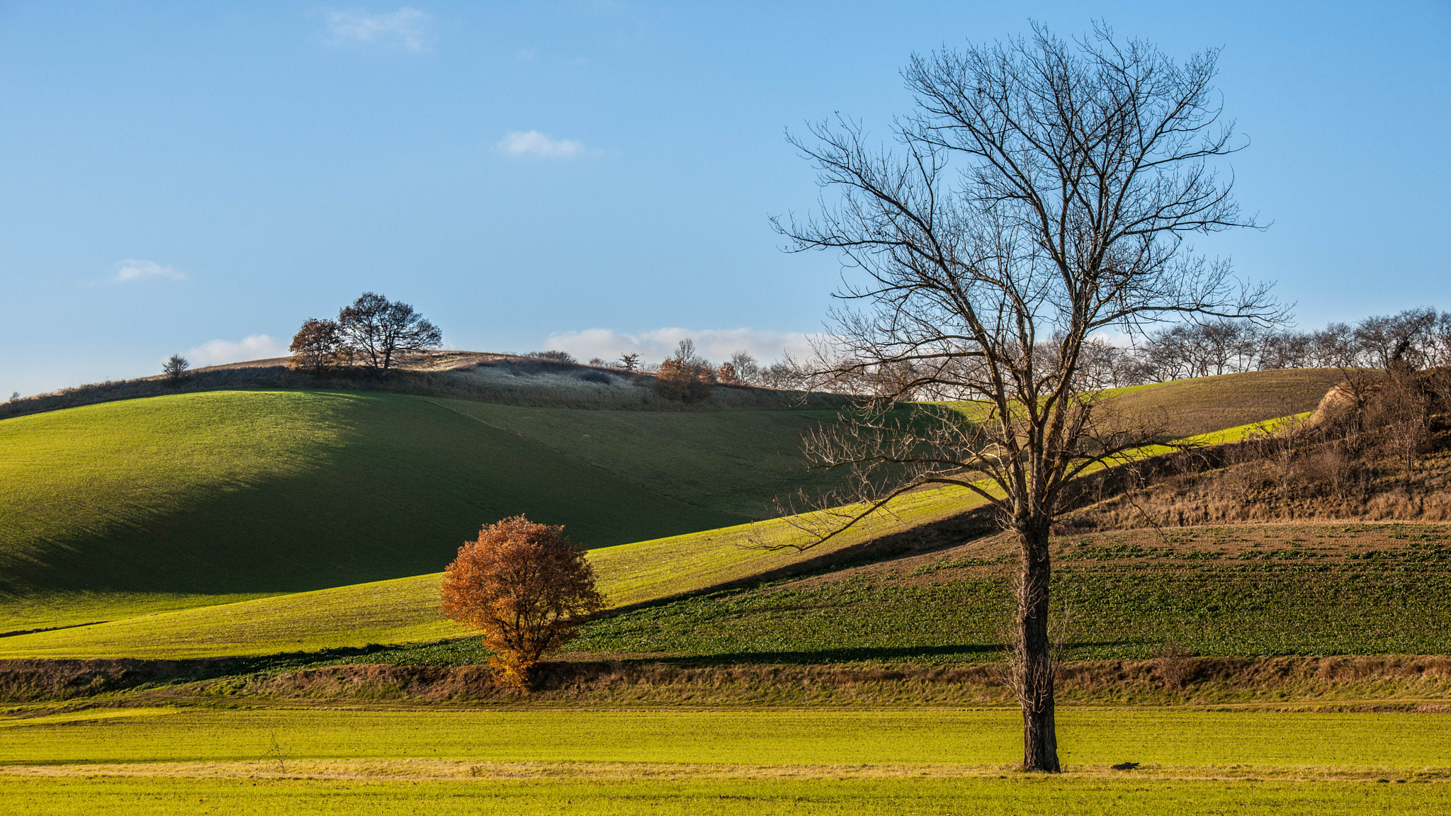 Nikon D3X sample photo. Dans le lauragais photography