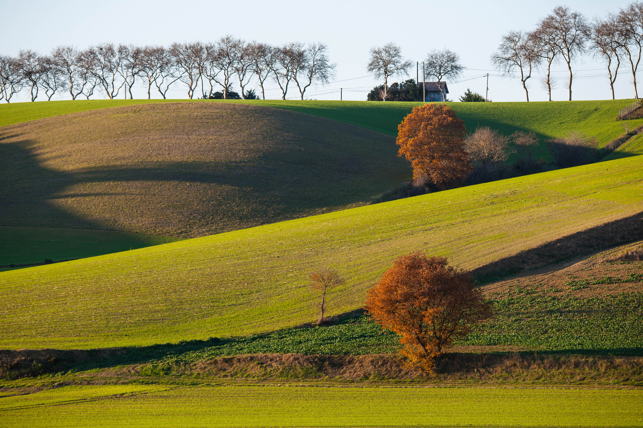 Nikon D3X sample photo. Dans le lauragais photography