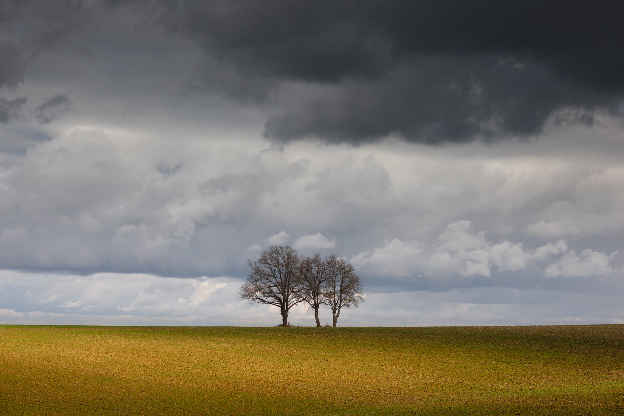Nikon D3X sample photo. Solitary tree photography