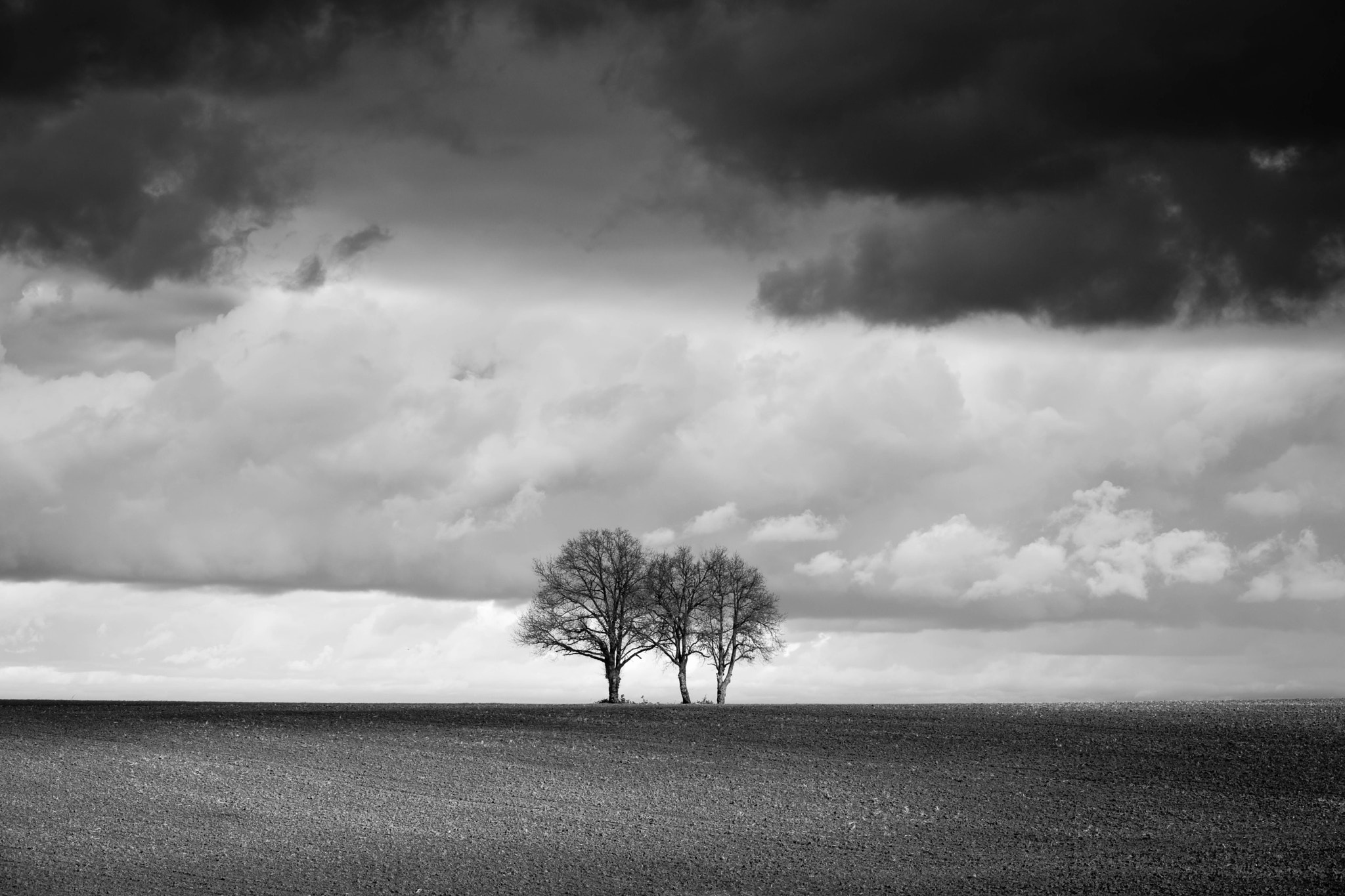 Nikon D3X sample photo. Solitary tree photography