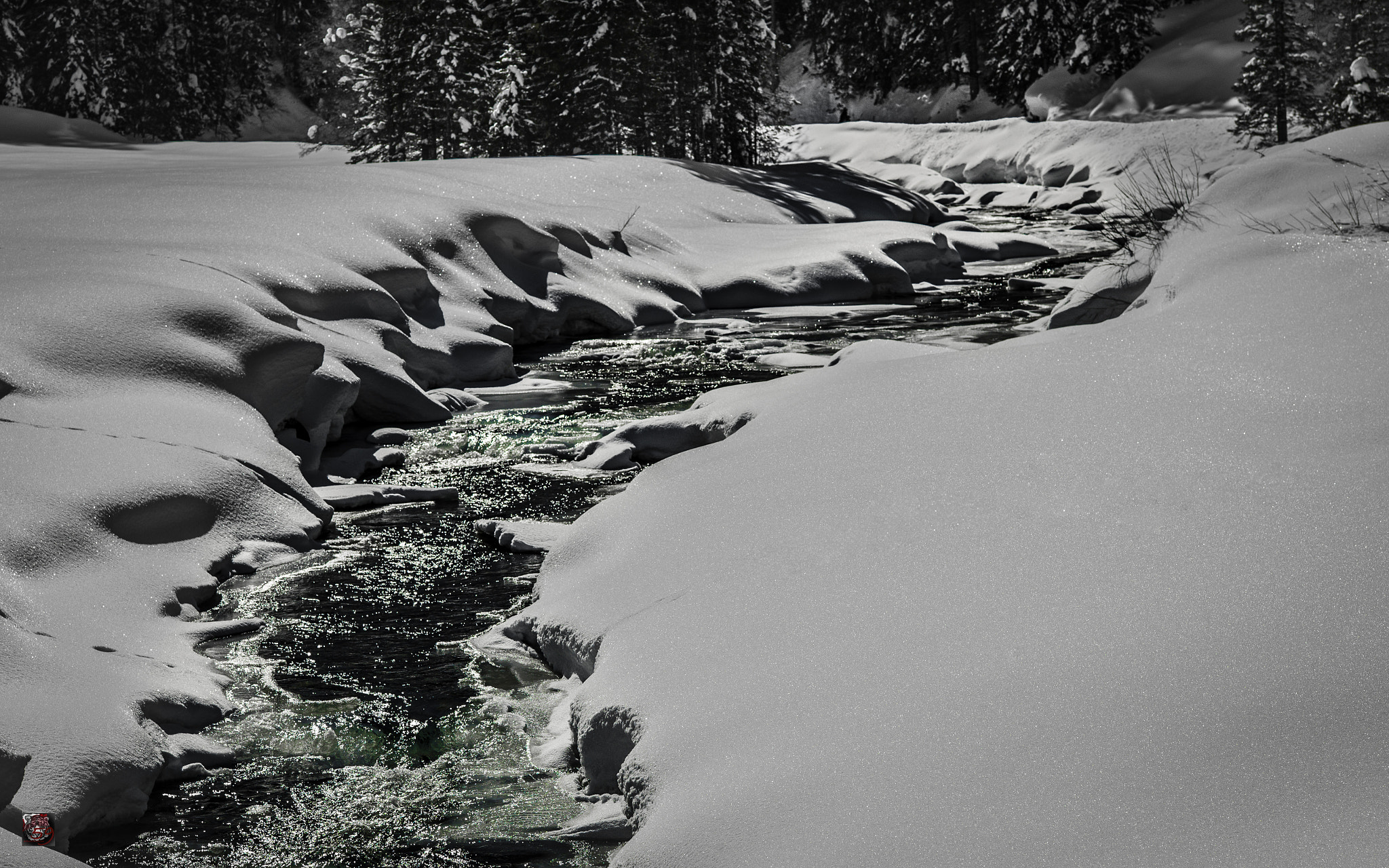 Leica M9 + Leica APO-Summicron-M 90mm F2 ASPH sample photo. Winter: ice cold, crystal clear and emerald colored - the winter water from the mountains photography