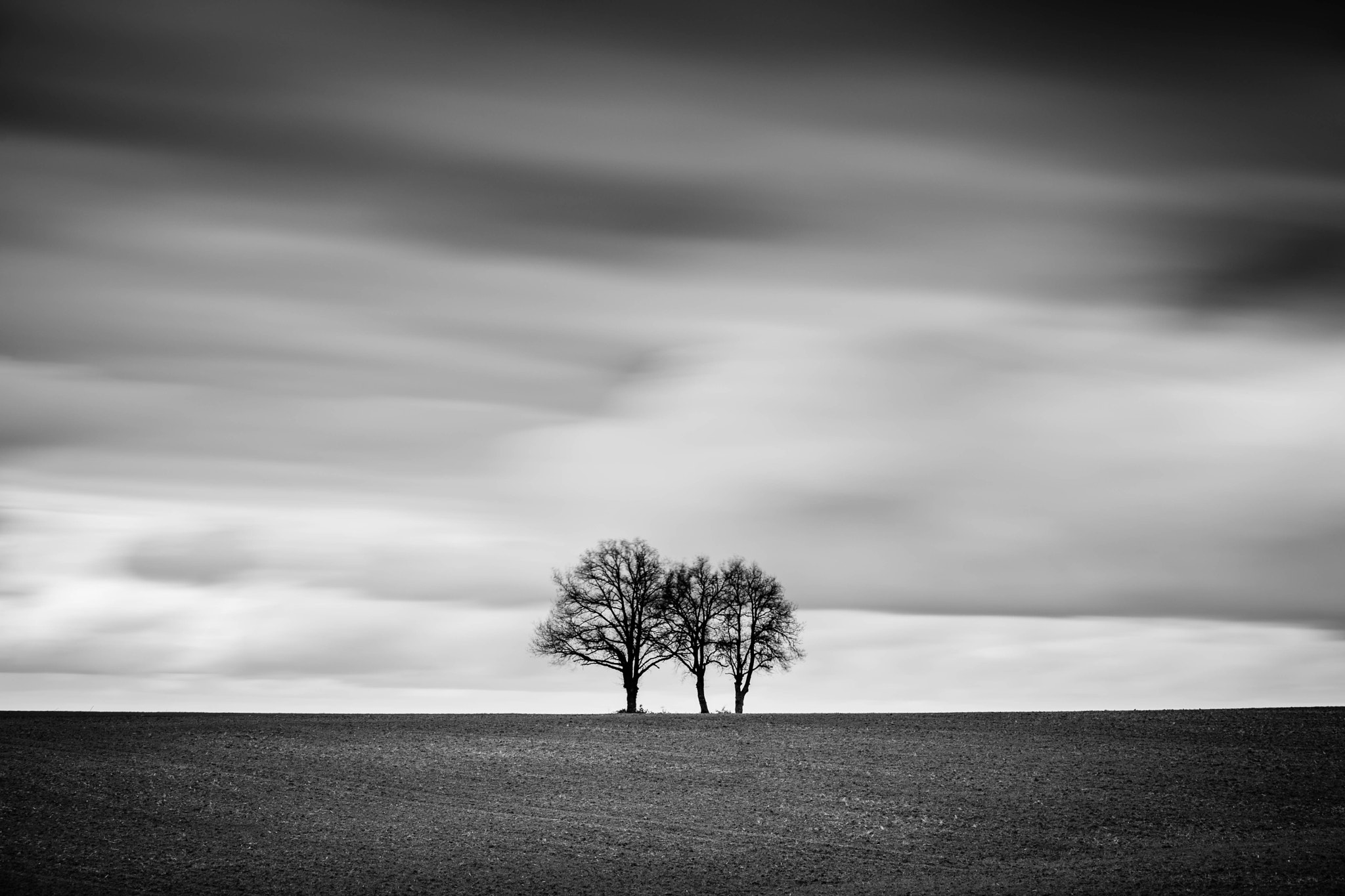 Nikon D3X sample photo. Solitary tree photography
