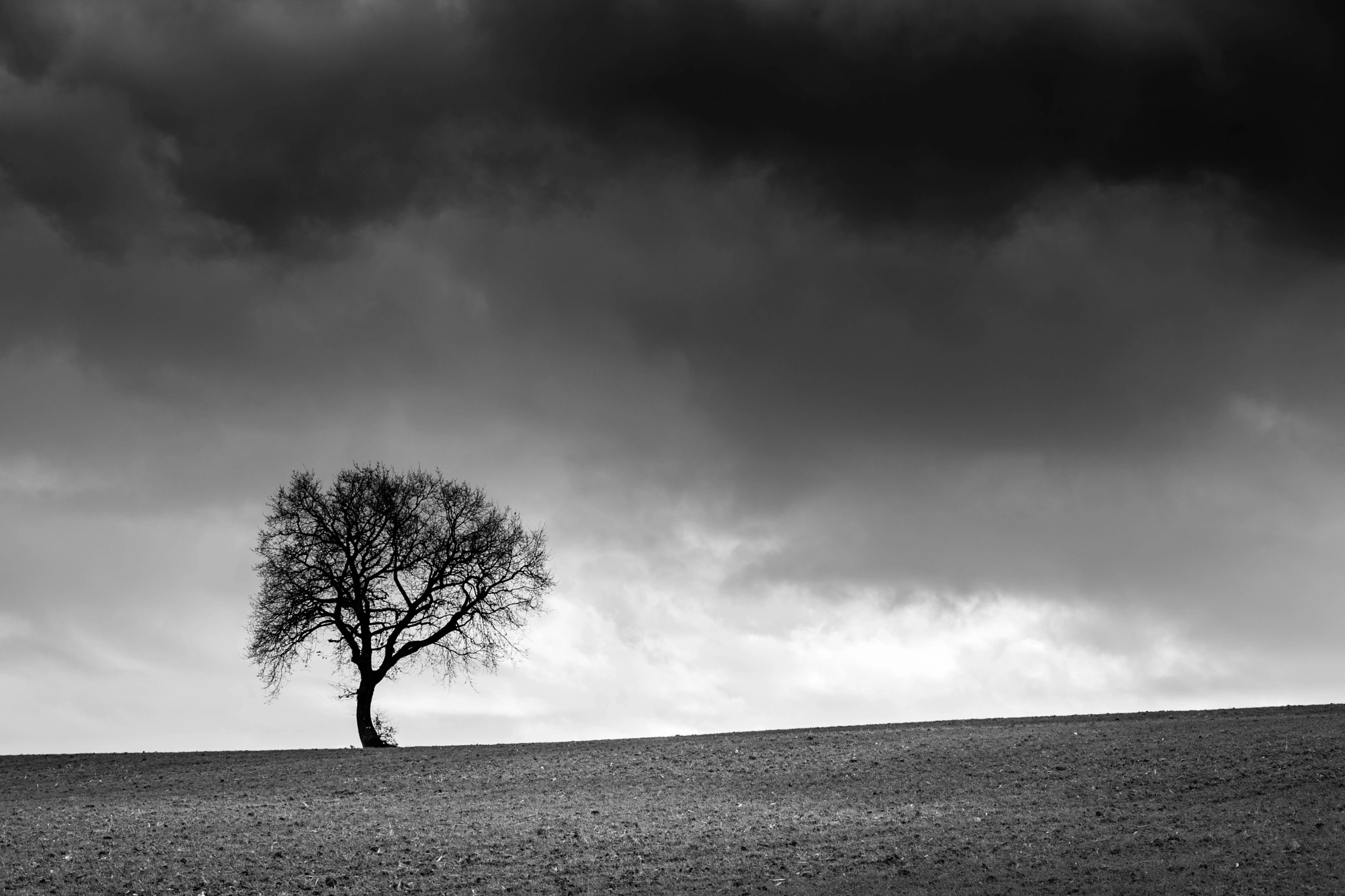 Nikon D3X sample photo. Solitary tree photography