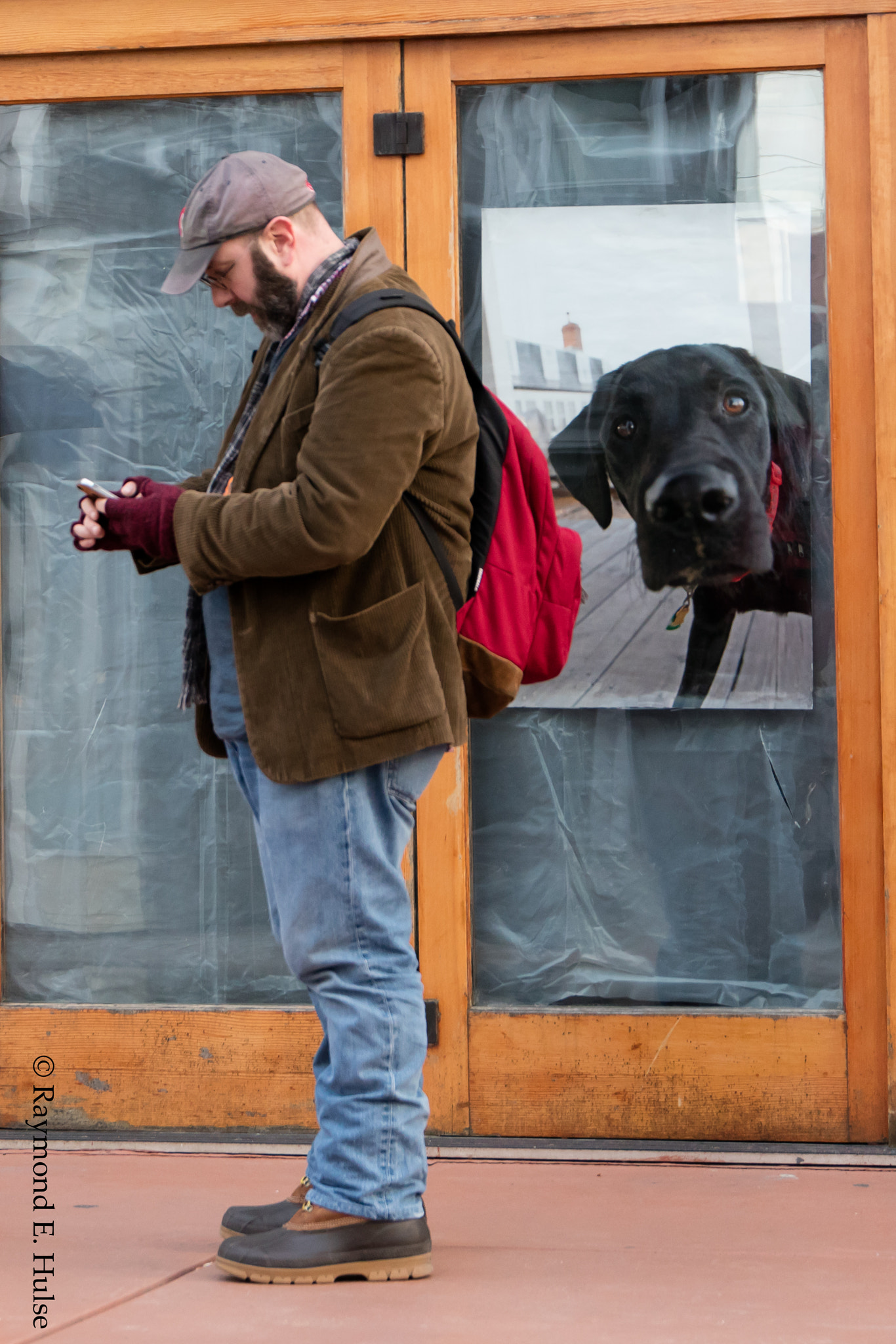 Sigma 24-105mm f/4 DG OS HSM | A sample photo. Good boy 2 photography
