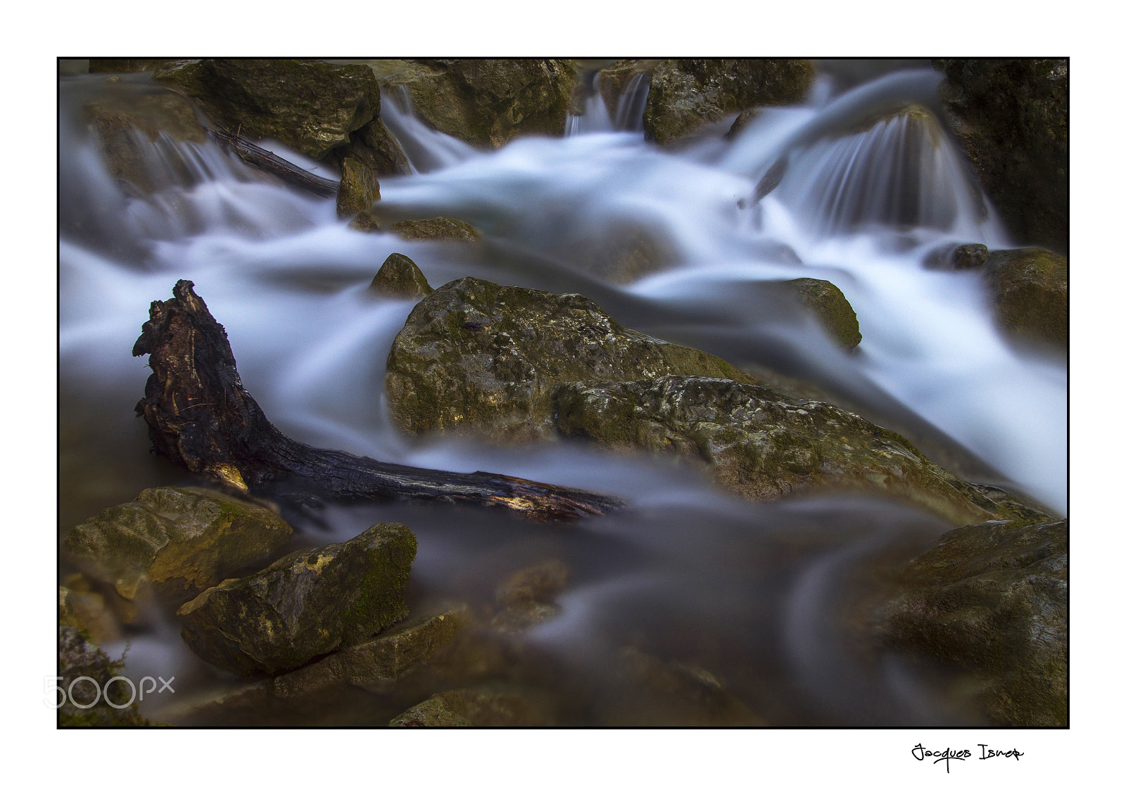 Pentax K-5 sample photo. Le tronc photography