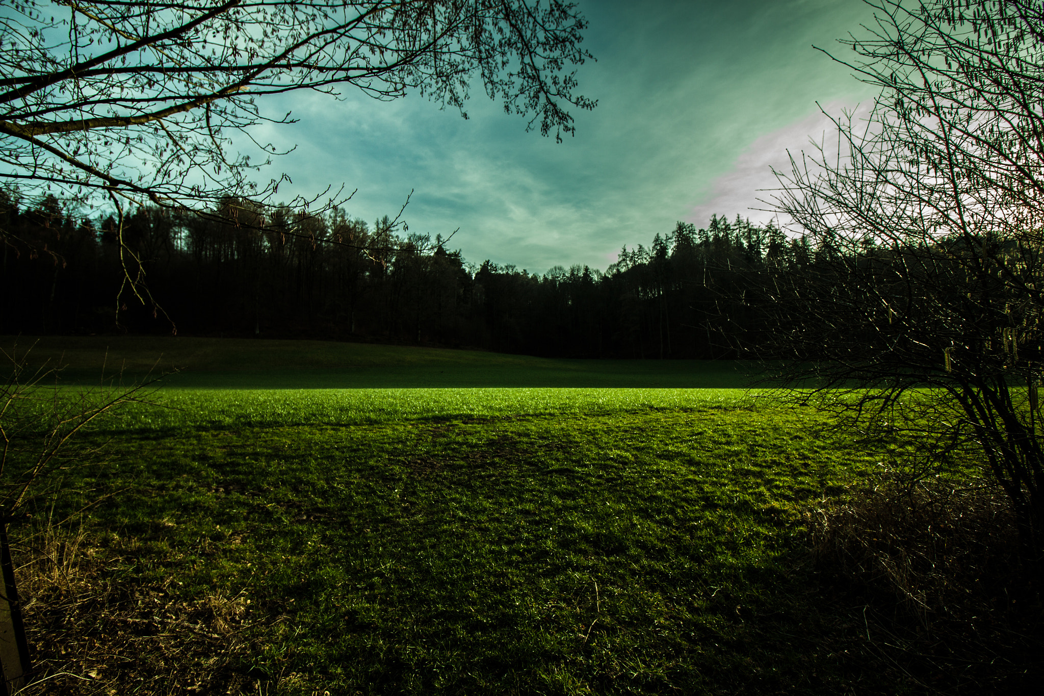 Canon EF-S 10-18mm F4.5–5.6 IS STM sample photo. Green fields photography