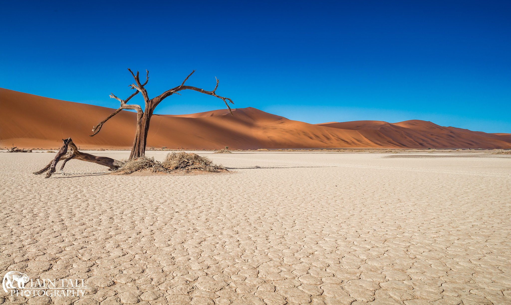 Canon EOS 5DS R + Canon TS-E 24mm f/3.5L sample photo. 10000 years later photography